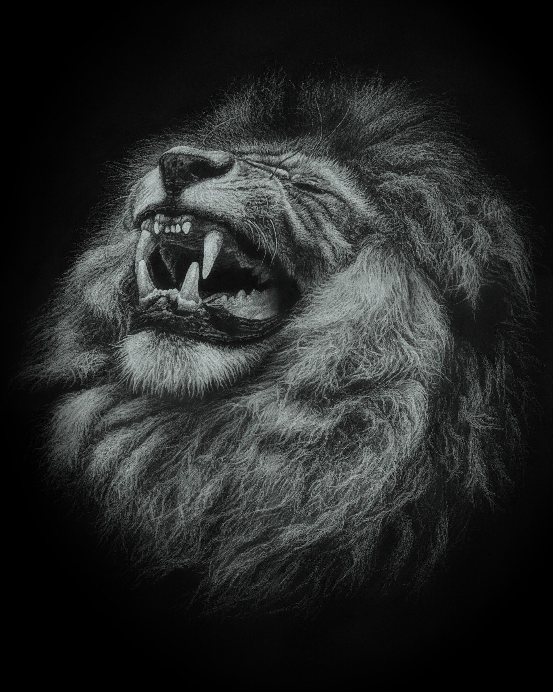 1920x2400 Wallpaper Lion With Mouth Open Illustration, Background Free Image