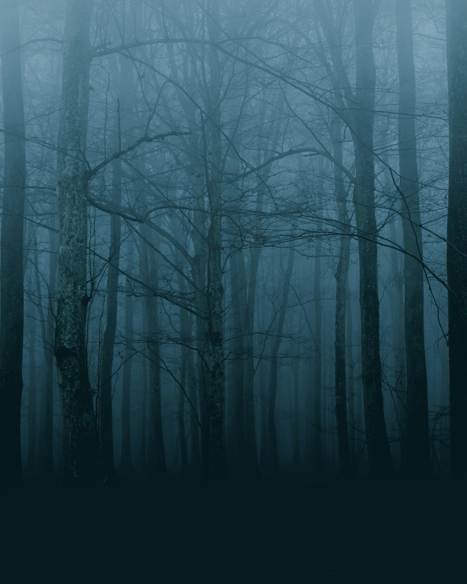 1920x2400 Free Muted Wallpaper [HQ Background Image]