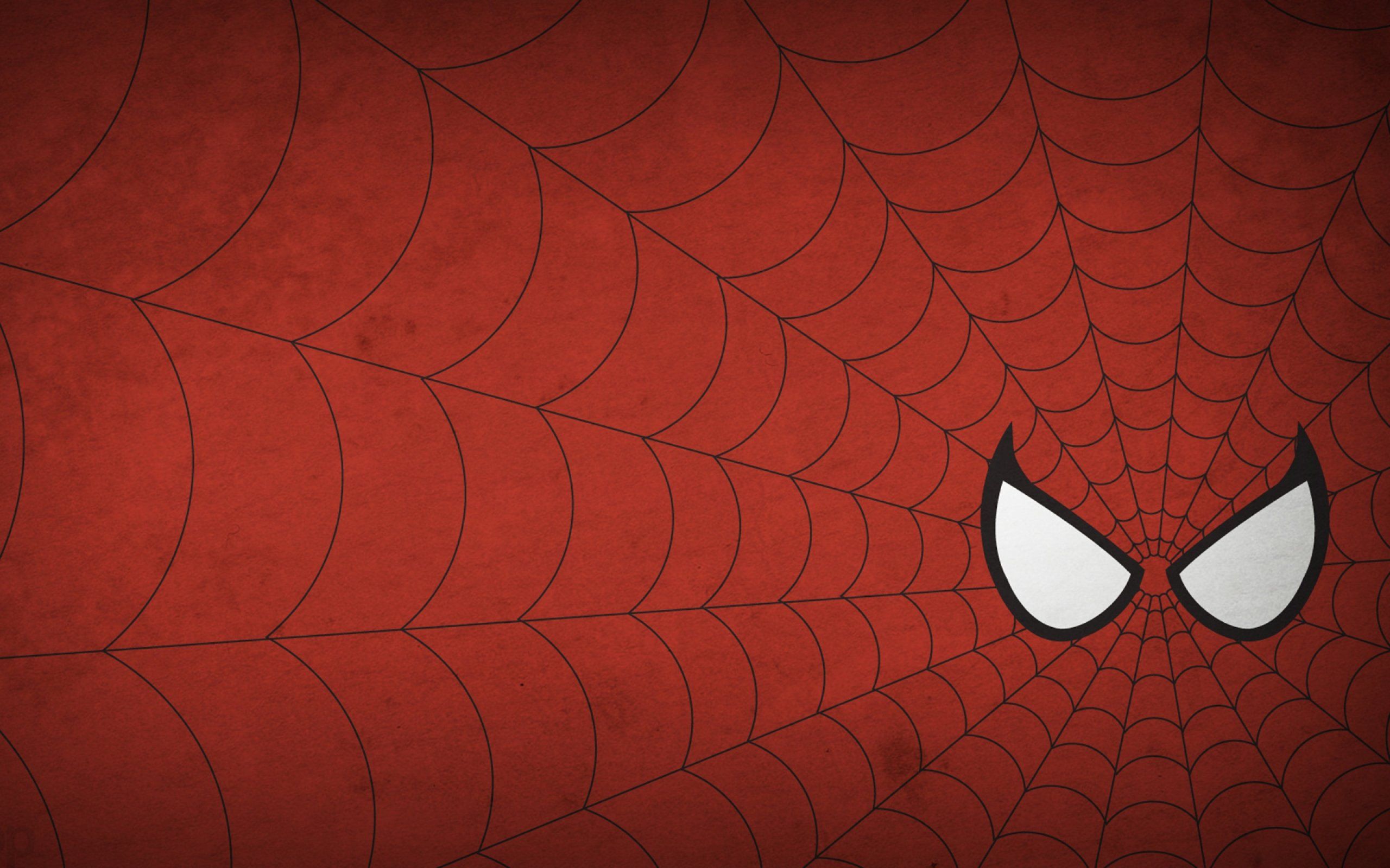 2560x1600 spider man, Superhero, Marvel, Spider, Man, Action, Spiderman Wallpaper HD / Desktop and Mobile Background