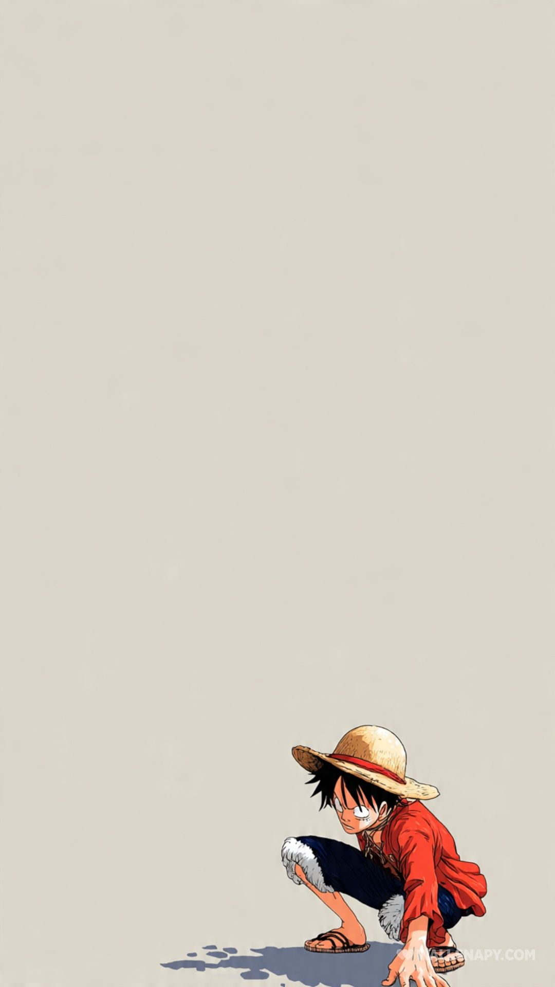 1080x1920 Monkey d luffy pirate king wallpaper HD download