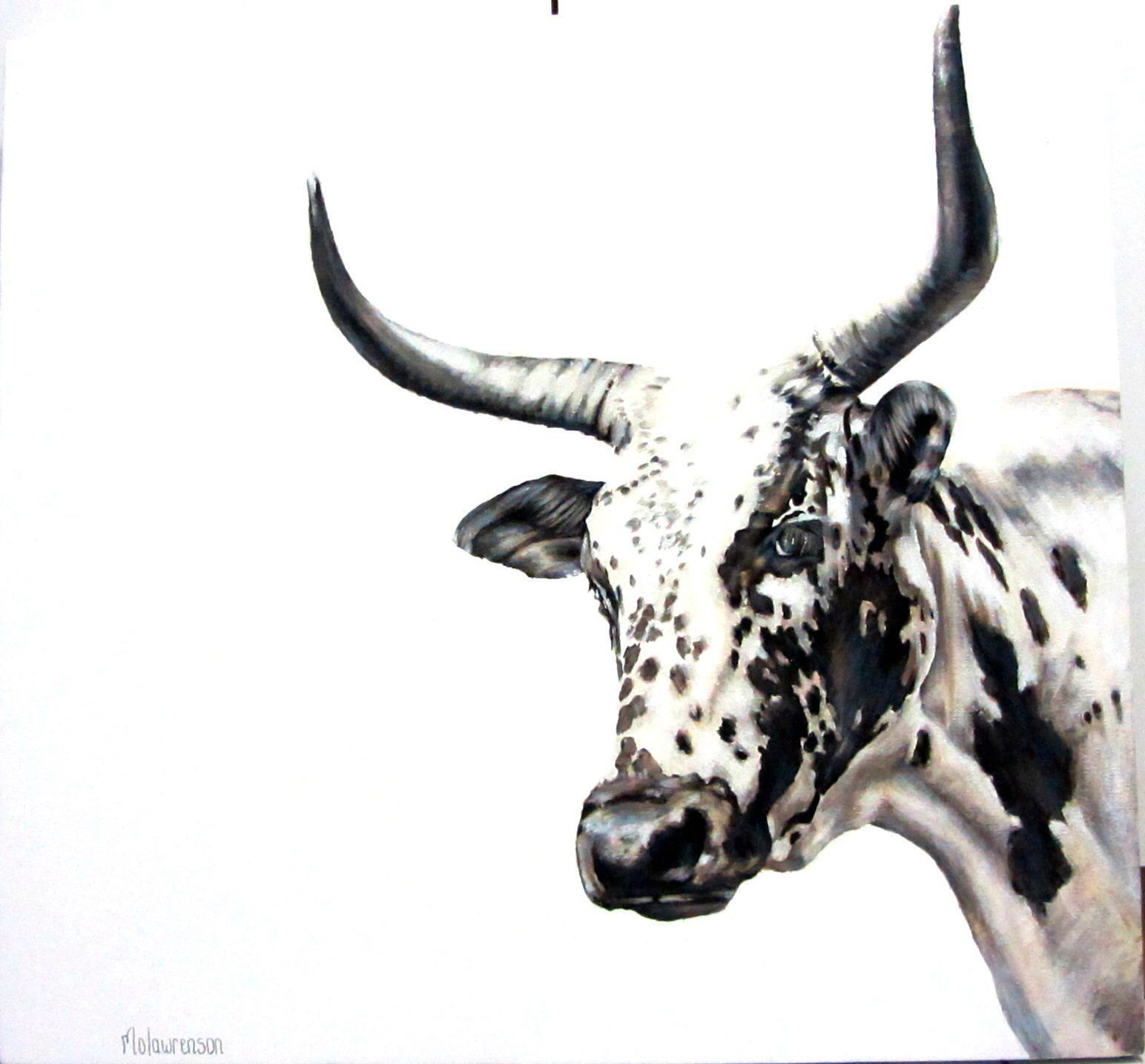 1544x1434 Discover 17 Nguni's and nguni paintings ideas. nguni cattle painting, nguni cows painting, nguni cattle picture and more