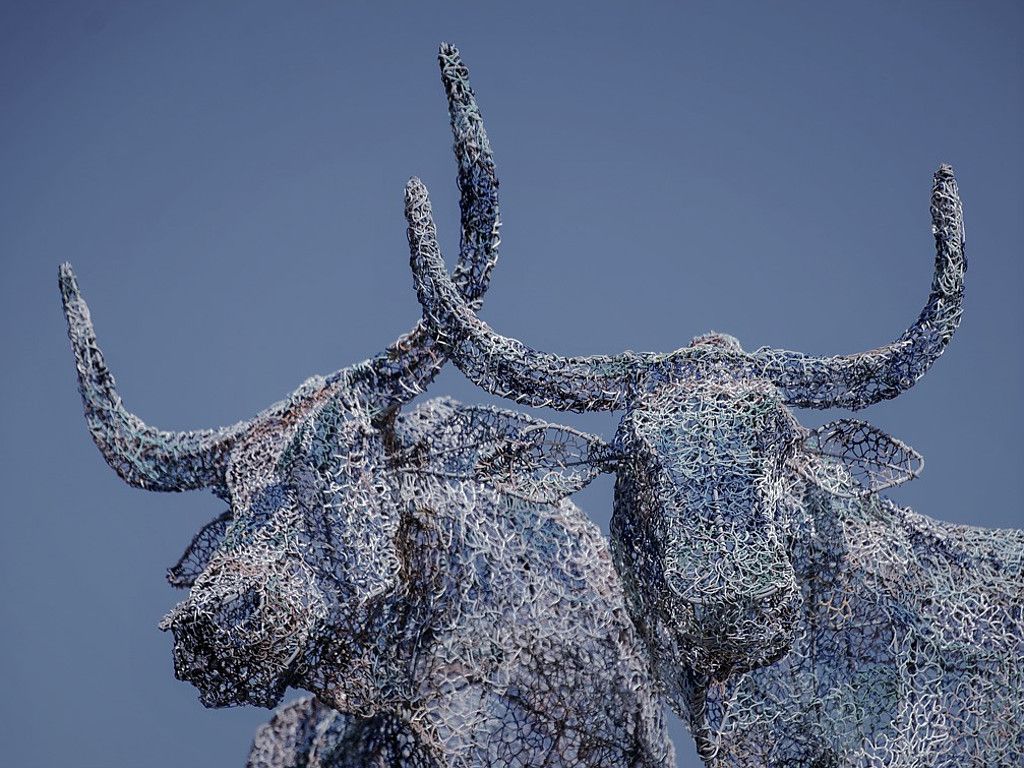 1024x768 Nguni Blues. From An Early Morning Photo Walk Around Plett