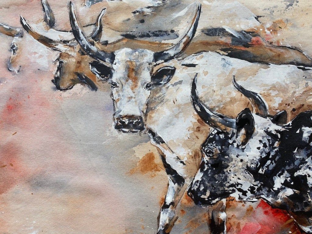1024x768 cattle. wine and wild dogs