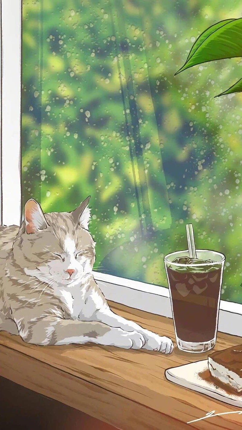 800x1422 Cat, Aesthetic Anime Cat, HD phone wallpaper