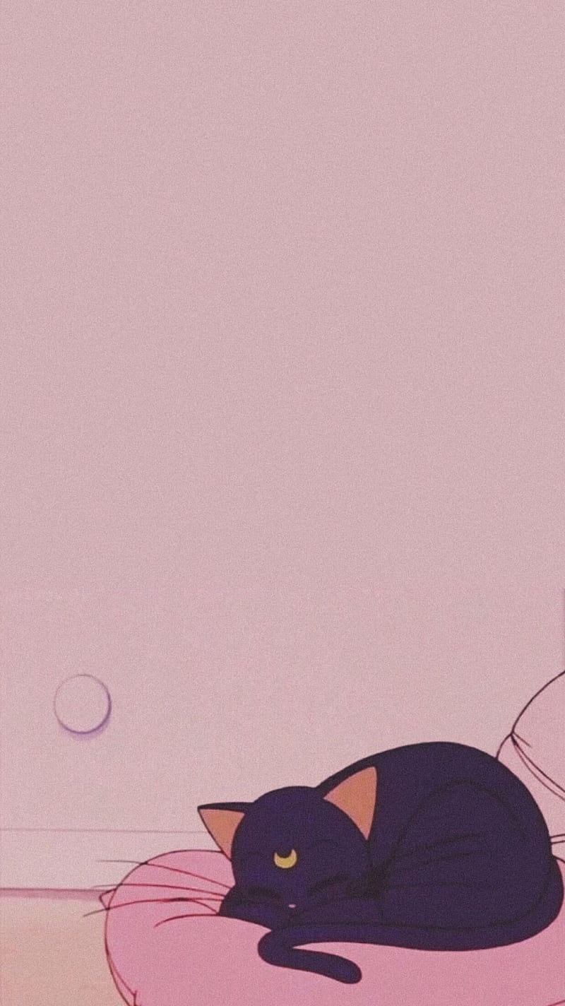 800x1424 Aesthetic Anime Cat, HD phone wallpaper