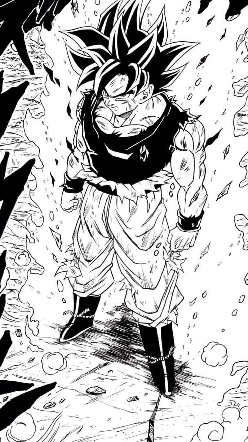 800x1424 Migatte no Gokui, bills, bulma, dragon ball super, gohan, kakarotto, krillin, HD phone wallpaper