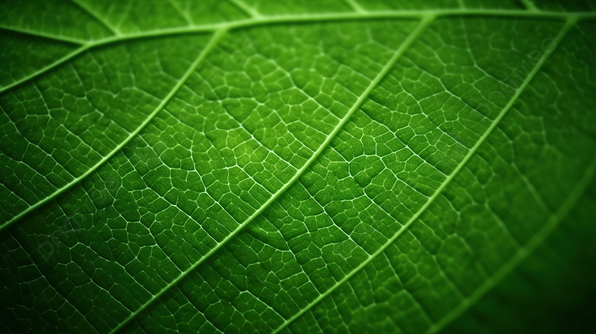 1200x673 Film Grain Style Close Up Abstract Green Leaf Texture, Eco Background, Green Leaves, Eco Pattern Background Image And Wallpaper for Free Download