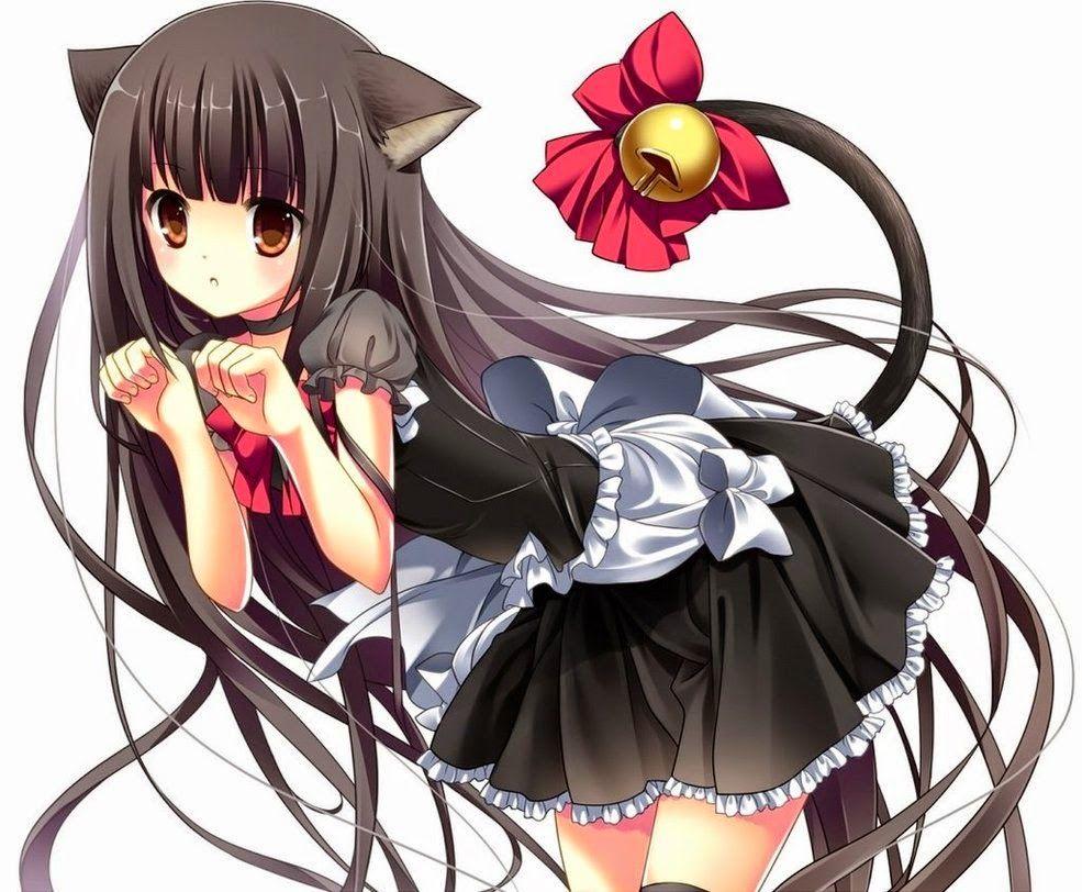 Anime Neko Maid Wallpapers Top Free Anime Neko Maid Backgrounds 