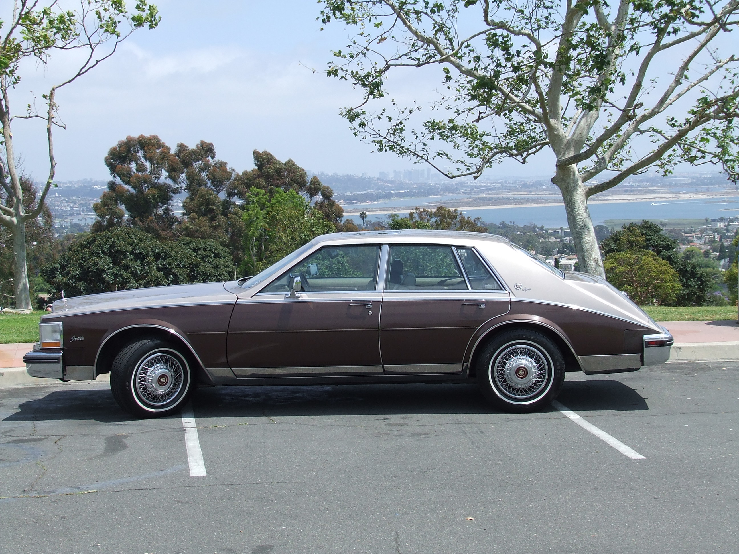 2592x1944 Roberto Sepulveda's 1985 Cadillac Seville Elegante 45K miles