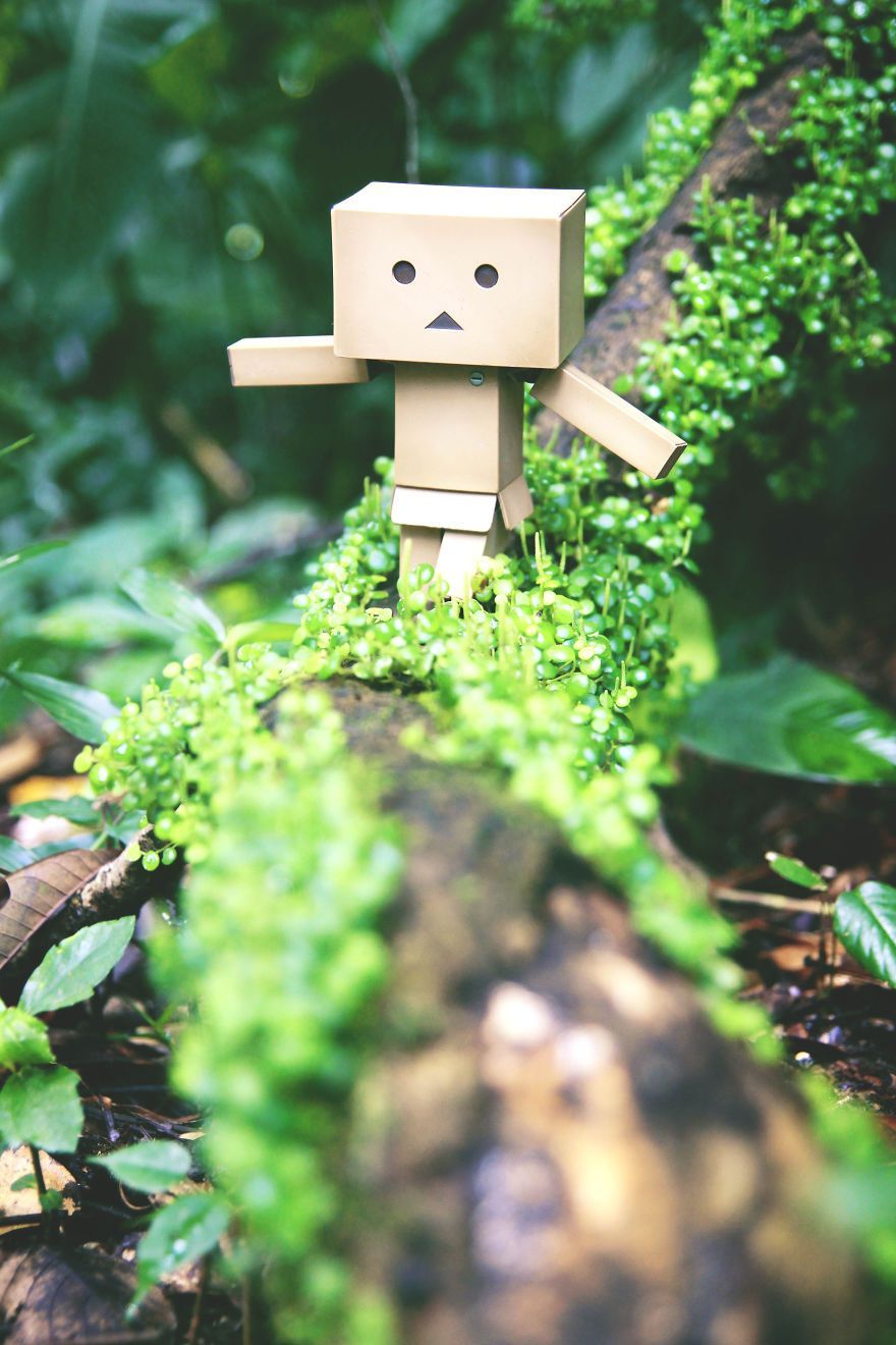 880x1320 Danbo Box Robot