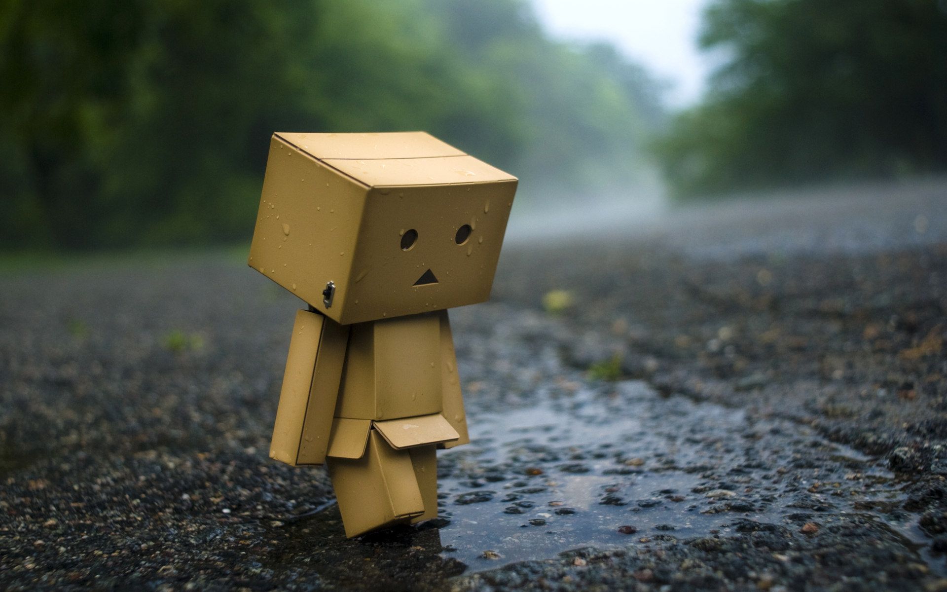 1920x1200 Wallpaper asphalt, rain, mood, box, Wallpaper, men, puddle, wallpaper for mobile and desktop, section настроения, resolution 1920x1200
