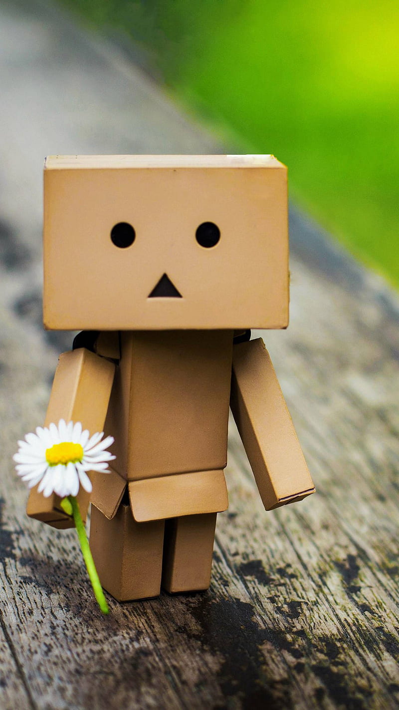 800x1422 Amazon box flower, happy, HD phone wallpaper