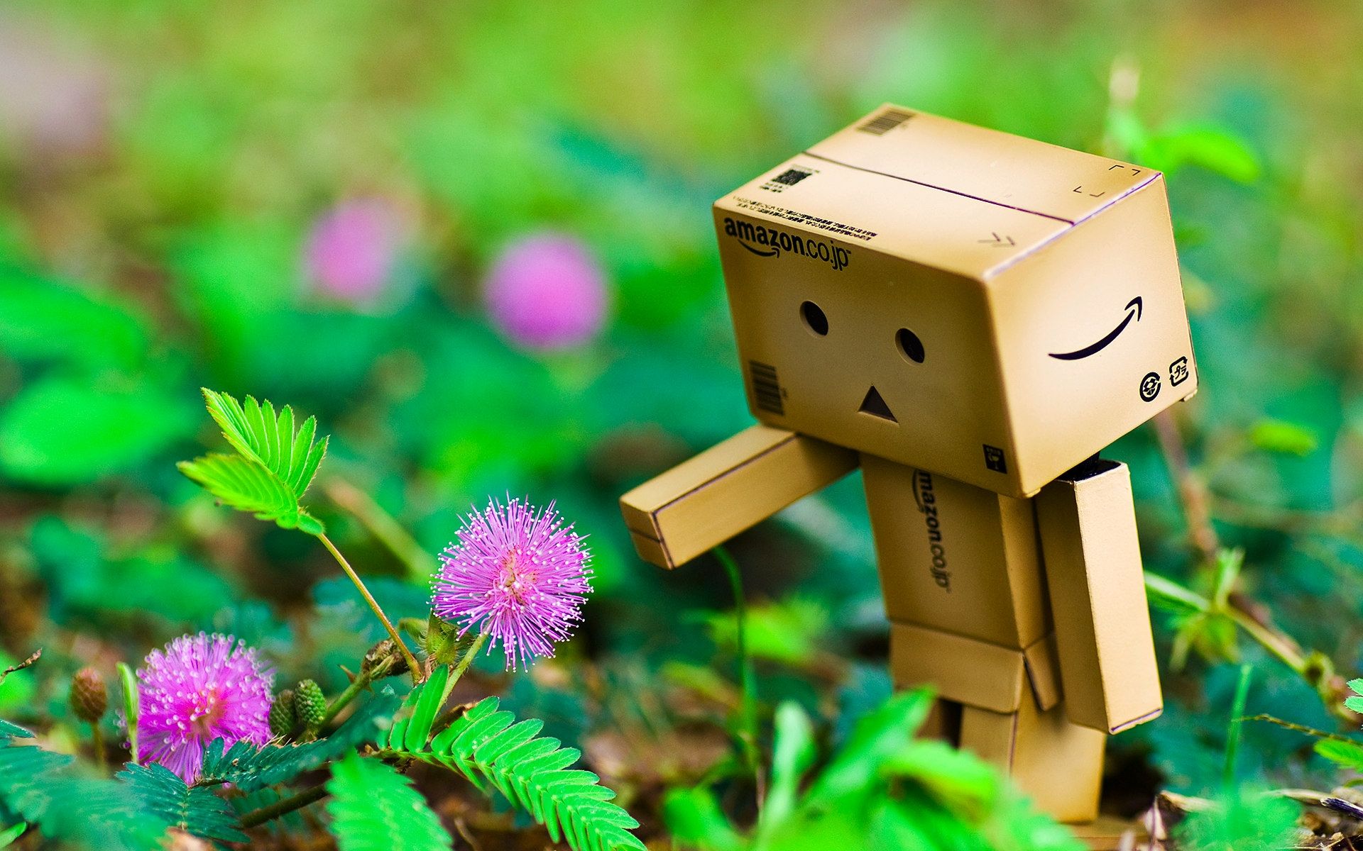1920x1200 Wallpaper Brown Cardboard Box on Ground, Background Free Image