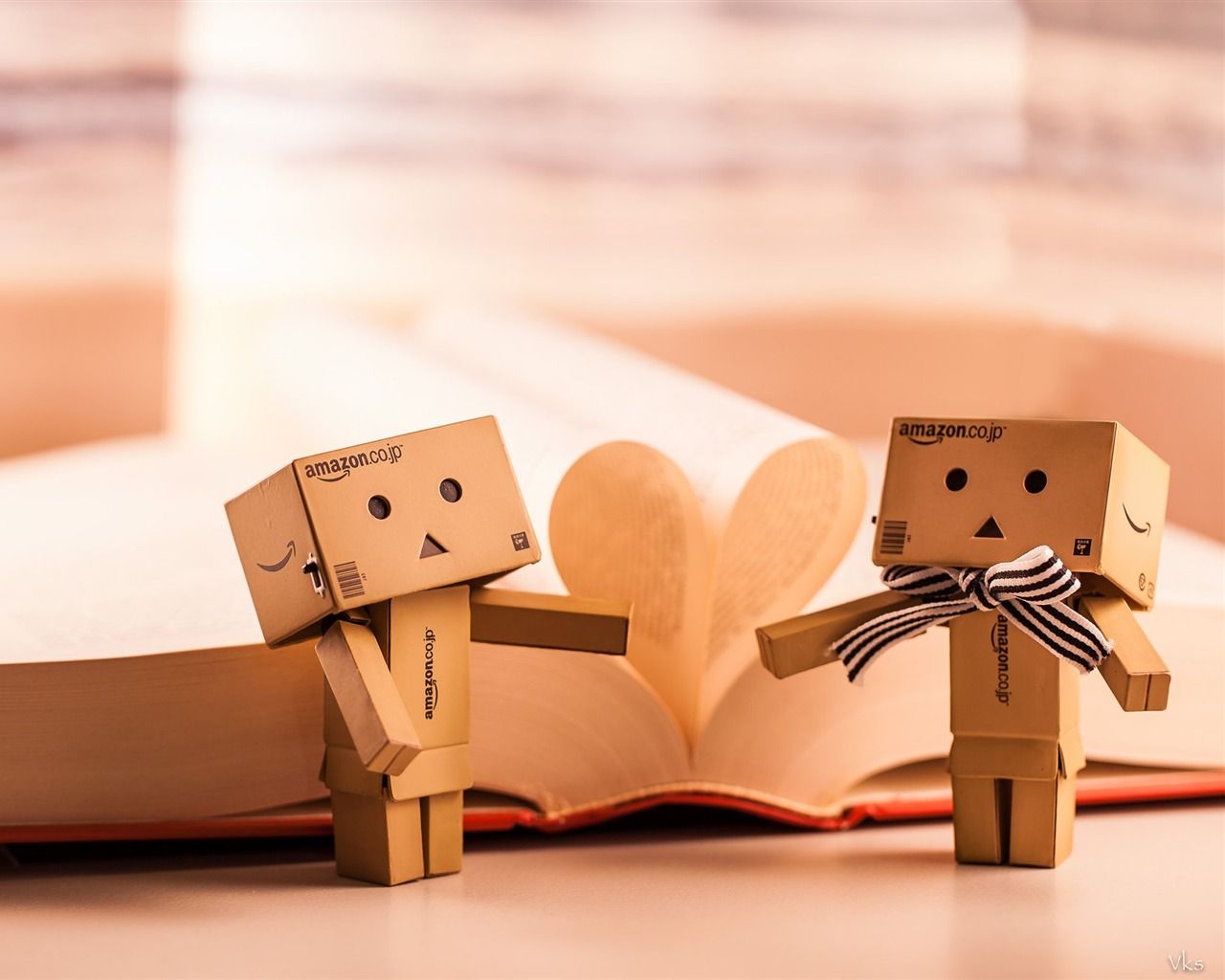 1280x1024 Danbo Boxes Book High Quality Wallpaper