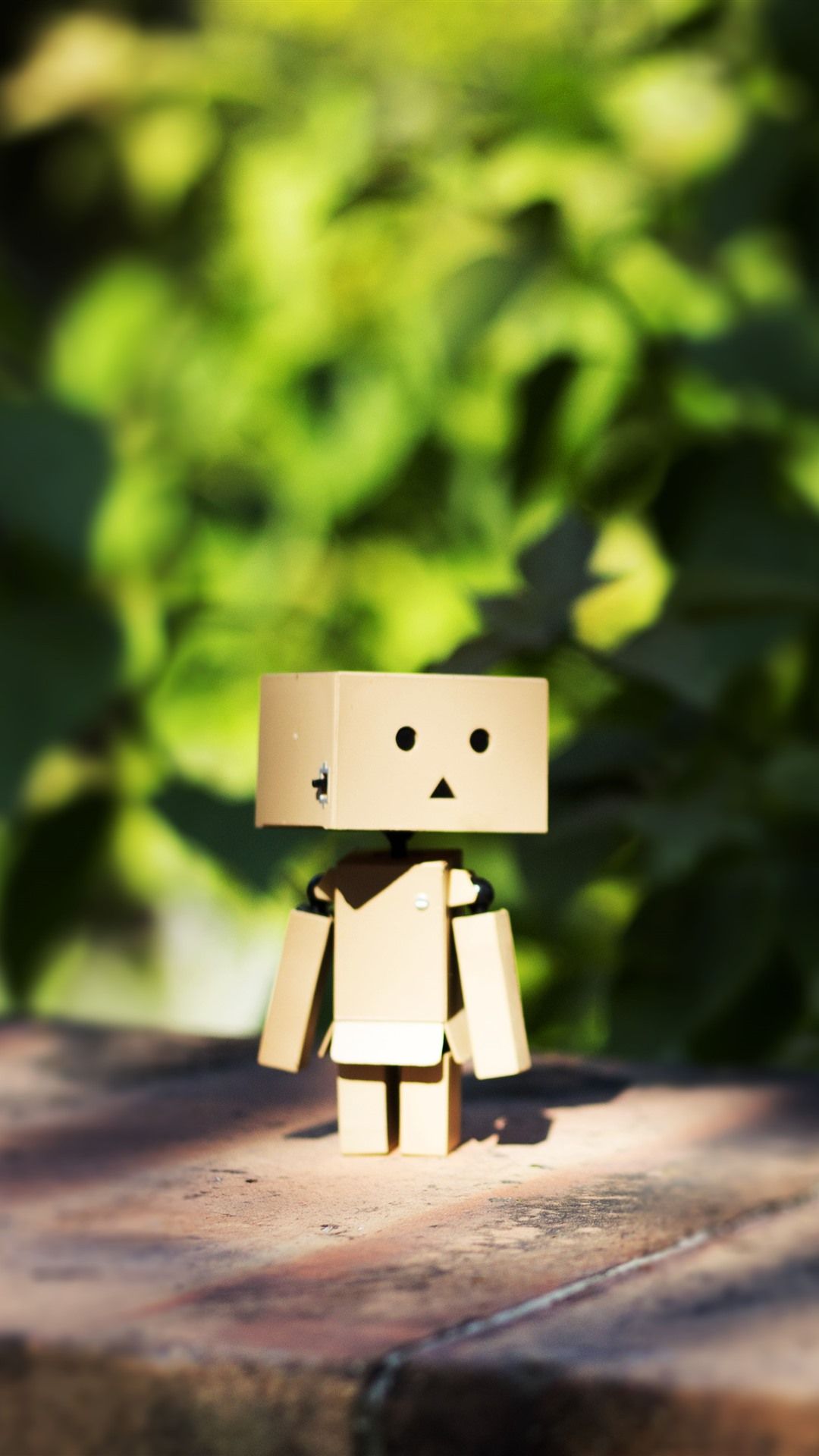 1080x1920 Danbo, Cardboard Man, Green Leaves, Sunshine 1206x2622 IPhone 16 17 Pro Wallpaper, Background, Picture, Image