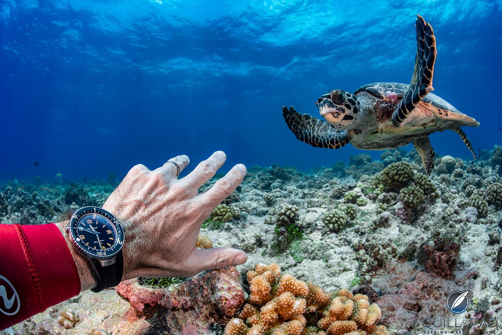 1600x1067 Diving In Polynesia With The Blancpain Fifty Fathoms Tech Gombessa: It's Designed For Long Duration Deep Dives, So That's What We Did! & Pad