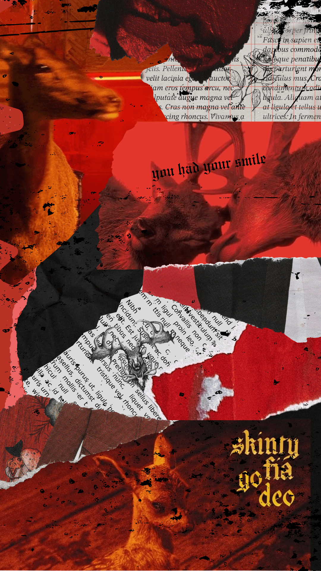 1080x1920 phone wallpaper for favourite