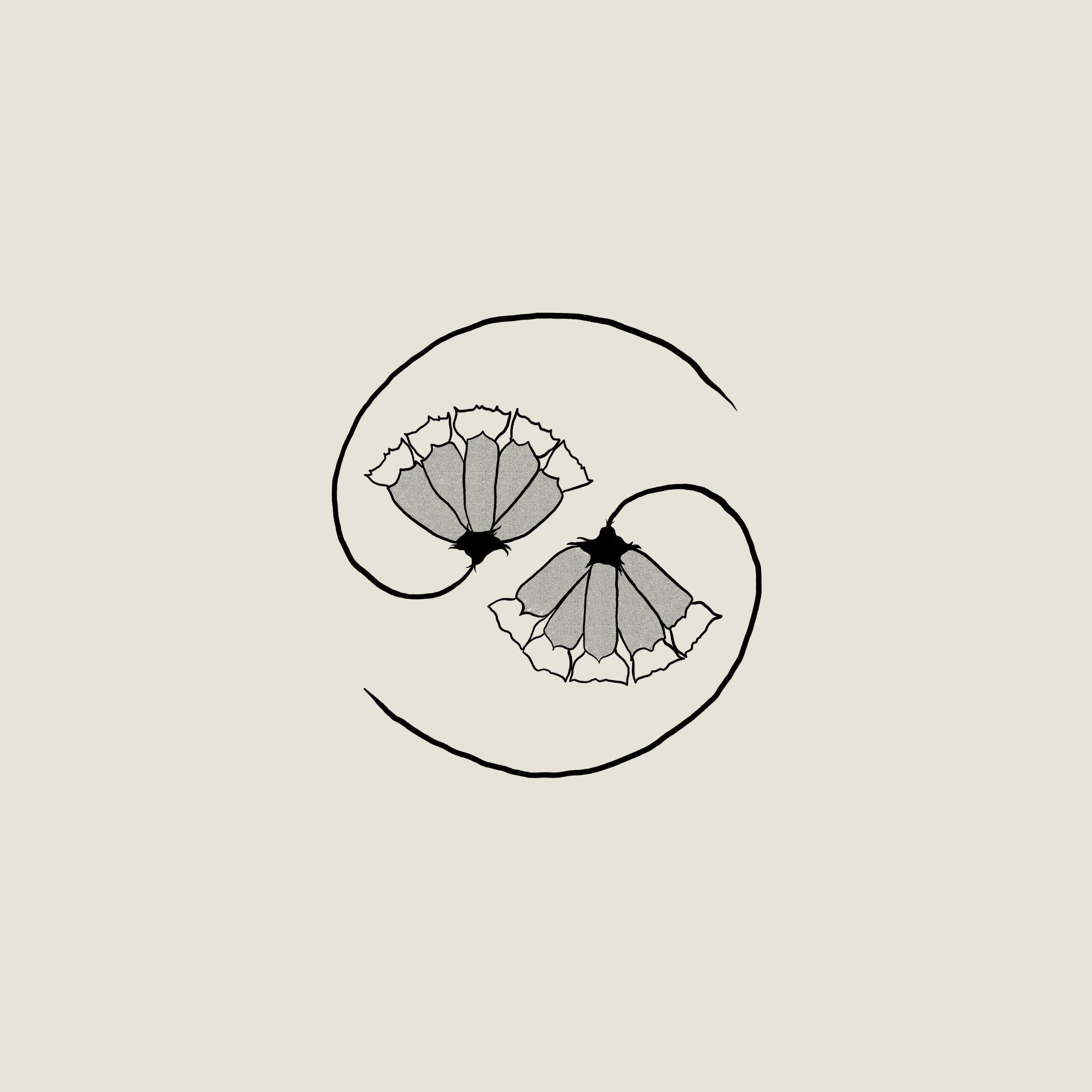 2560x2560 Godspeed You! Black Emperor: G_d's Pee AT STATE'S END! Album Review