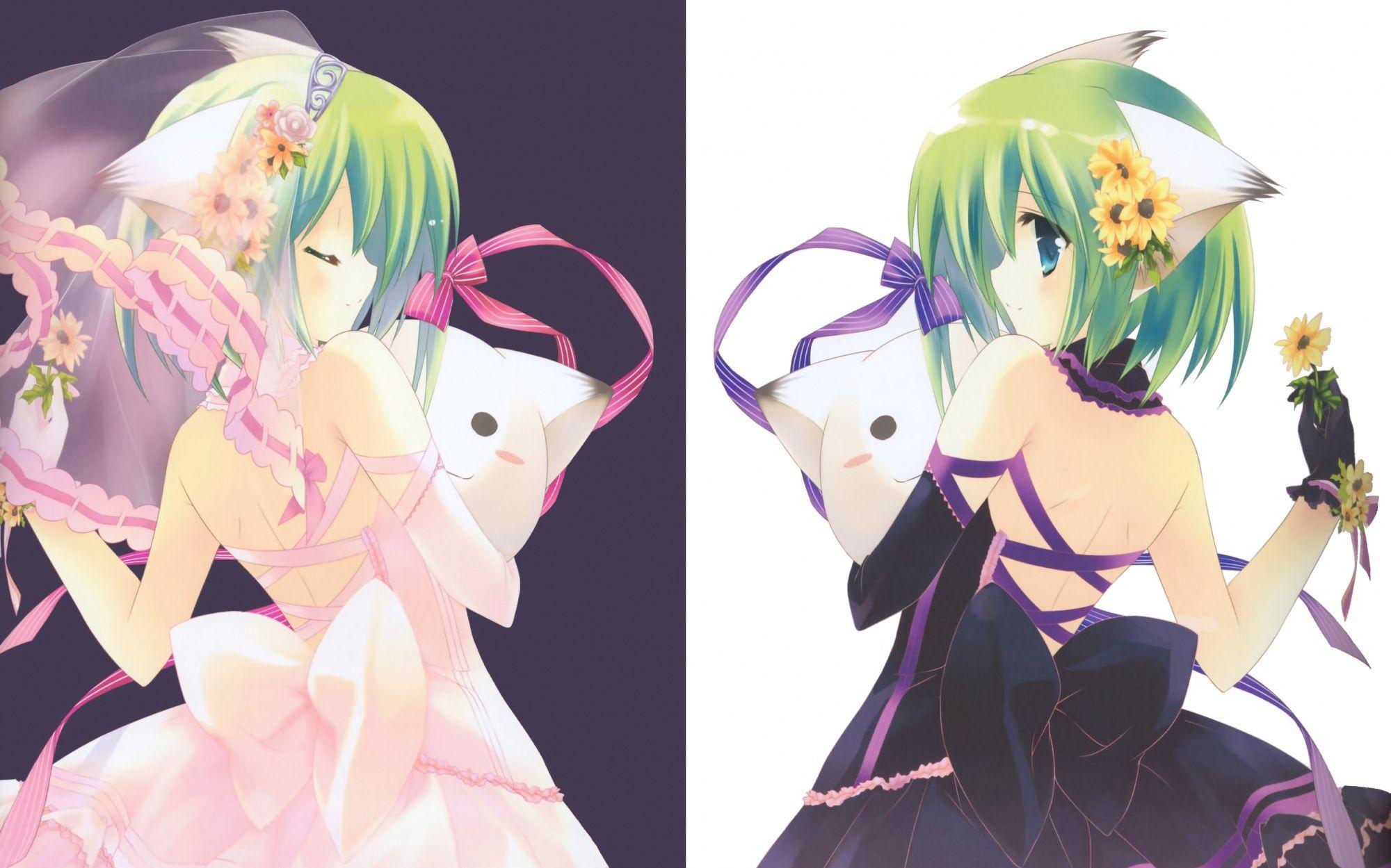 2000x1249 Join Anime Kida the anime social network ▣ Nekomimi Anime Girls
