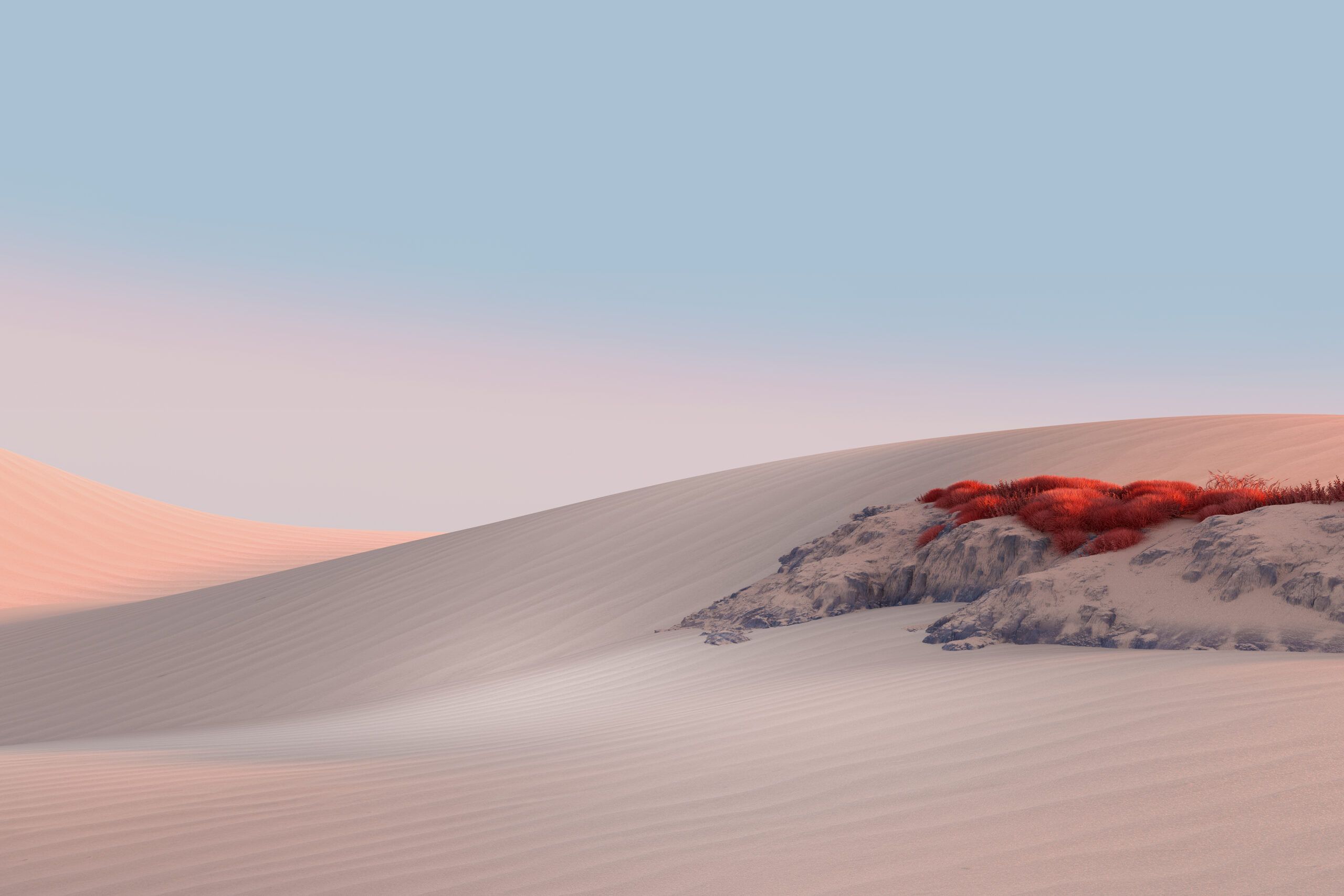 2560x1707 Download 4K Wallpaper: Microsoft Releases Some Super Pretty Designs