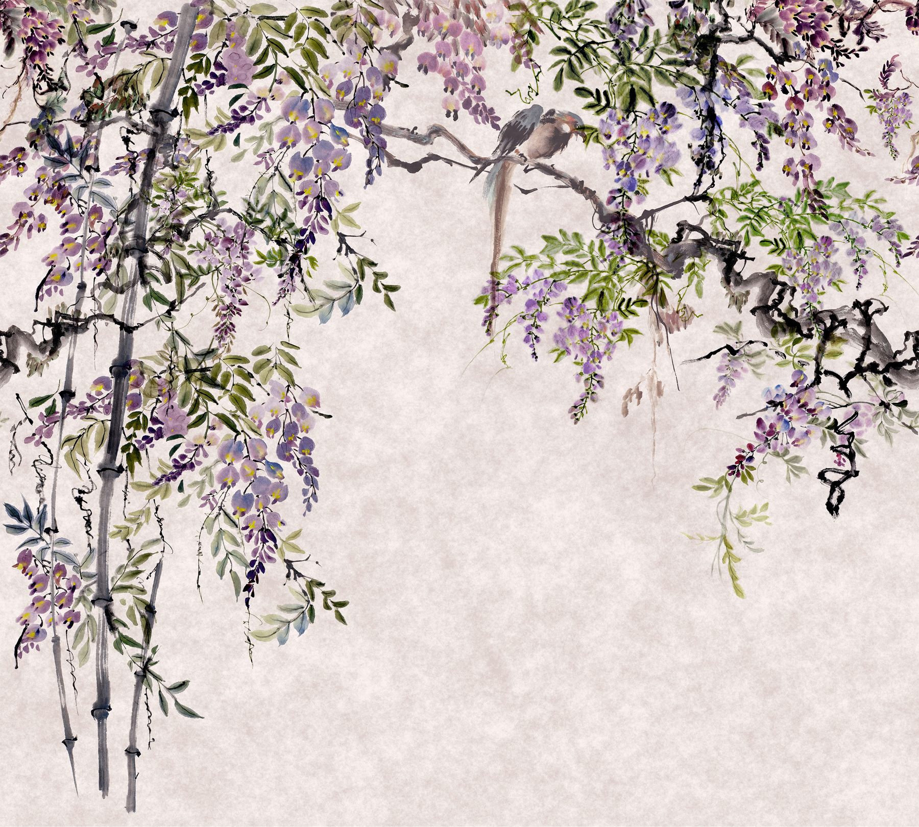 1800x1620 Wall Mural Wisteria Wisteria flowers in vintage style, Wall Murals Flowers, u94621 :