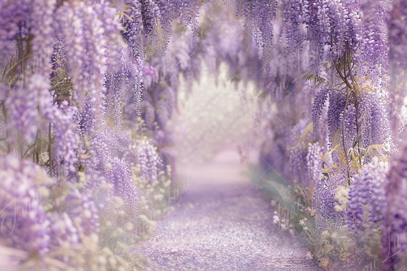 1344x896 Purple Wisteria Floral arch digital background, Fine Art photography backdrop, Summer Garden Path, creative composite, Photohop overlay