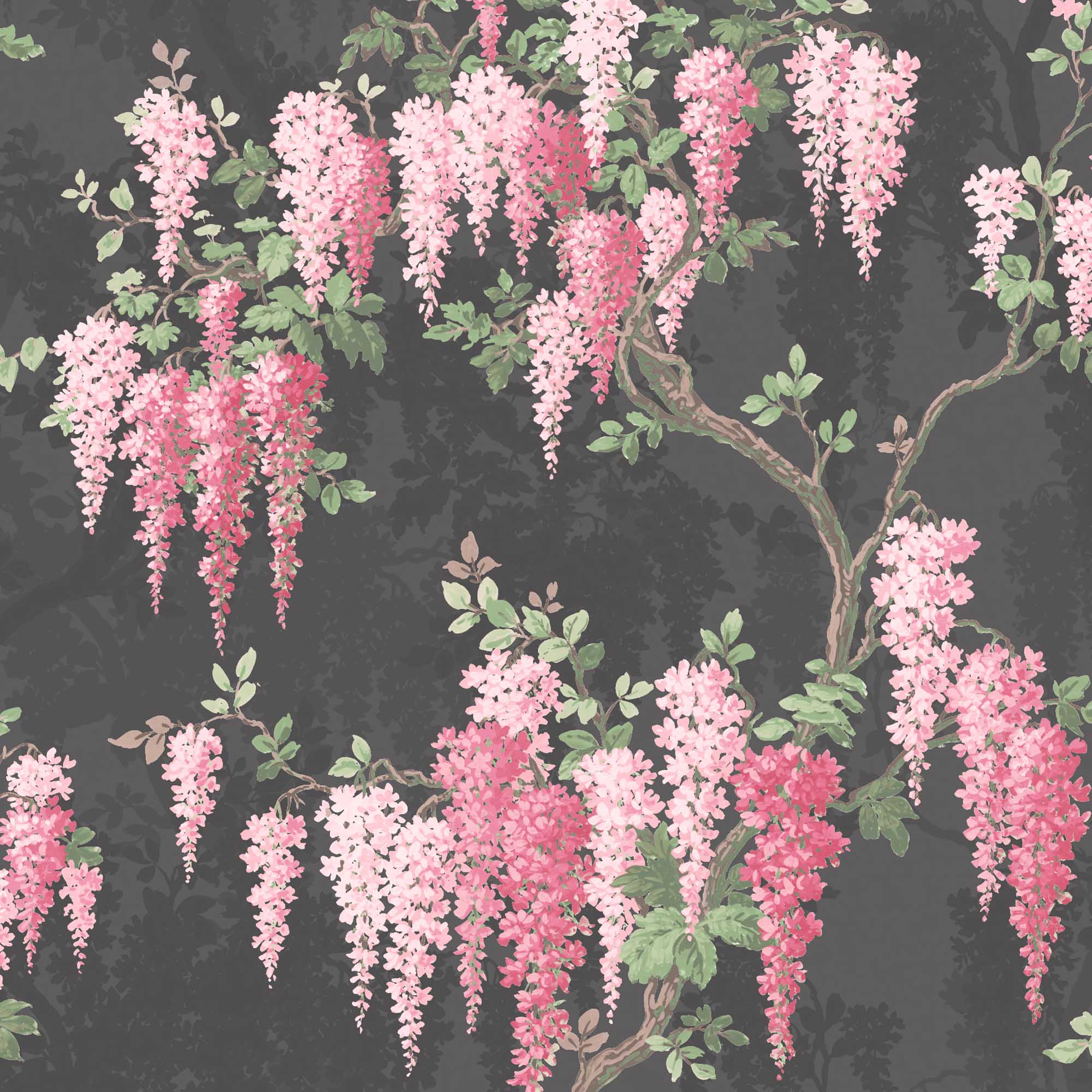 2000x2000 Wisteria Noir Black Wallpaper