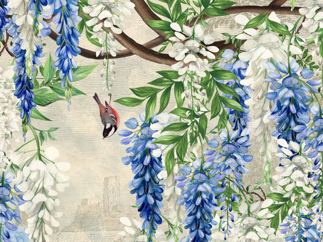 1333x1000 Wisteria