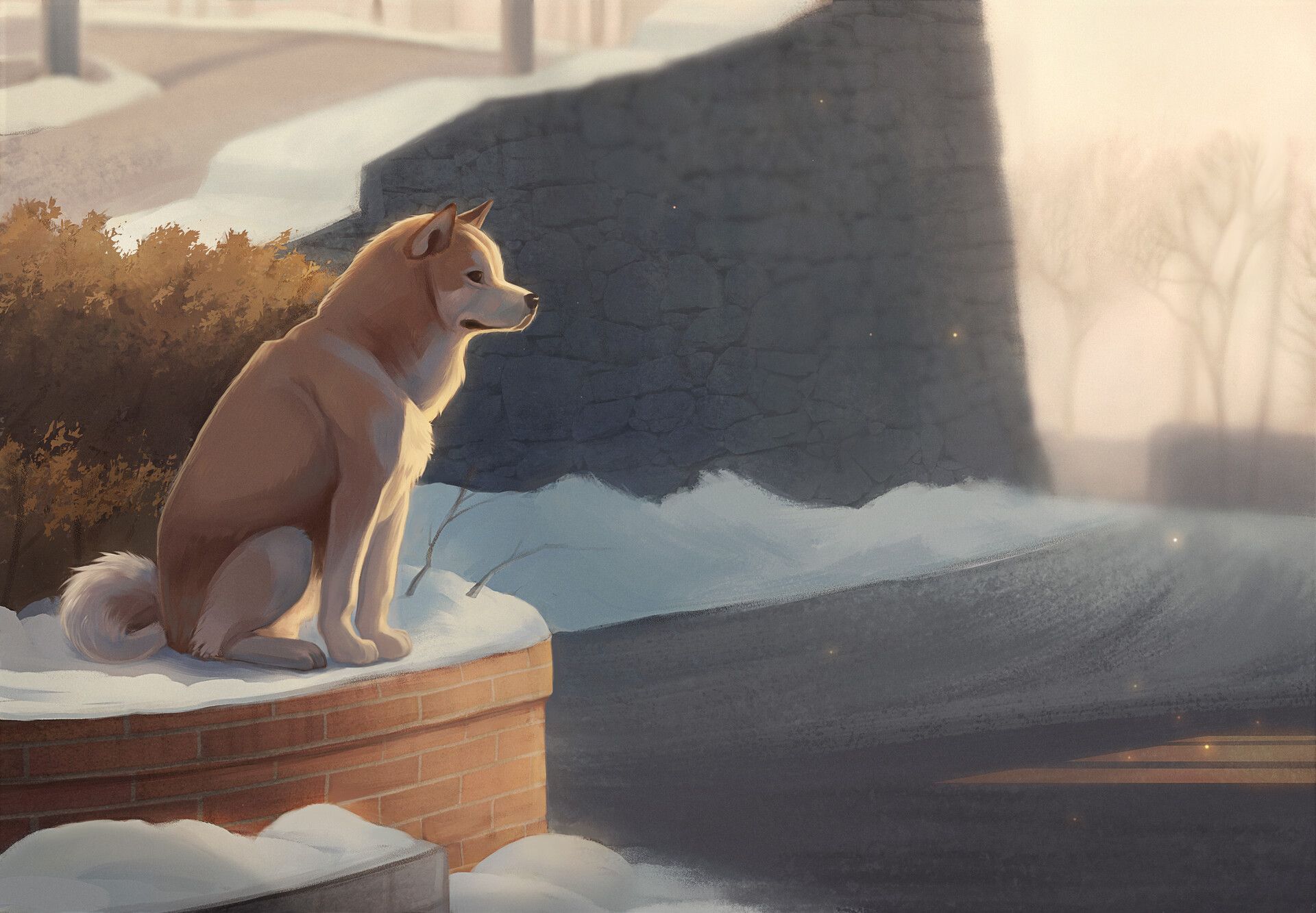1920x1333 Hachiko