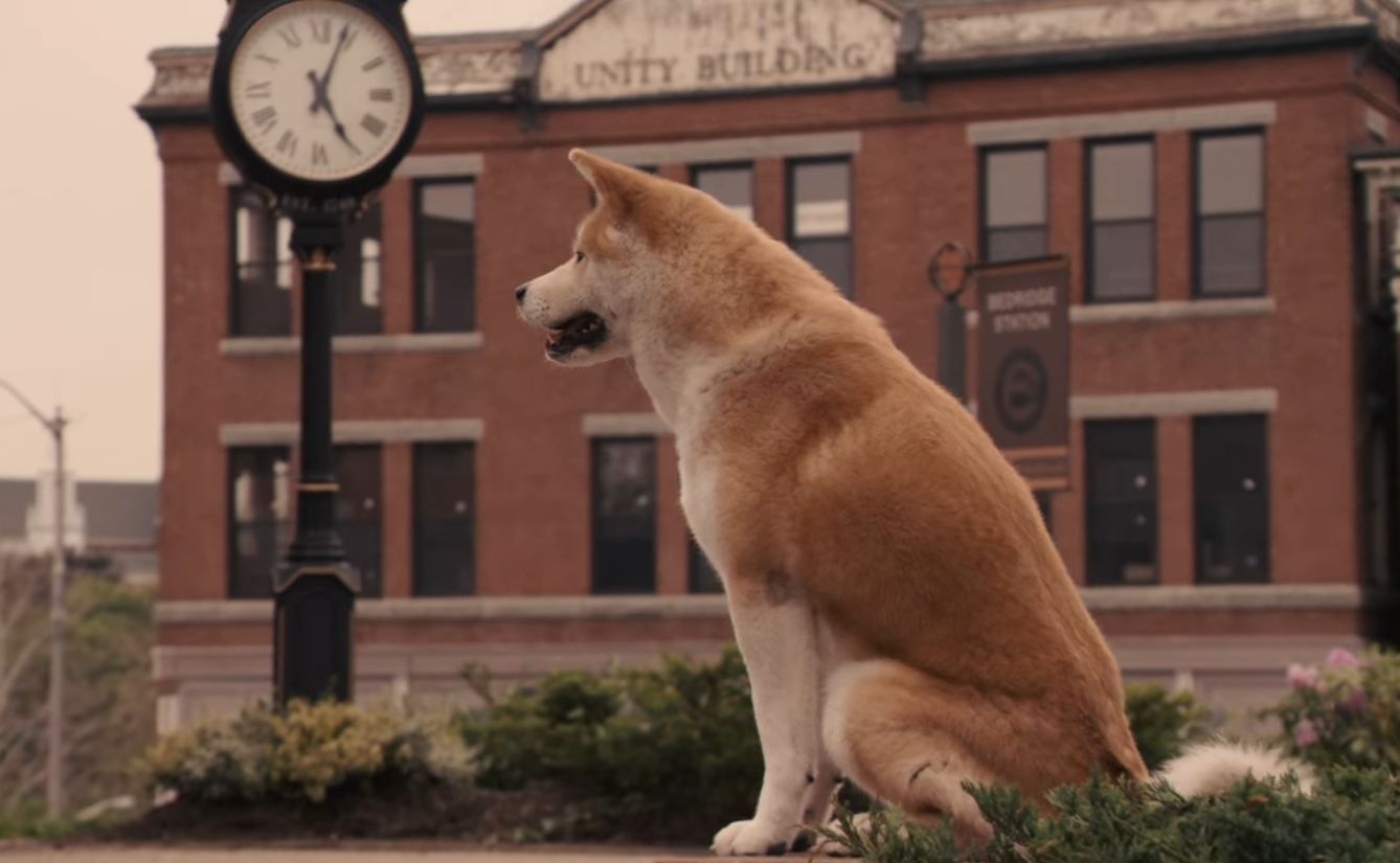 1338x825 The Film Sufi: “Hachi: A Dog's Tale” Hallström (2009)