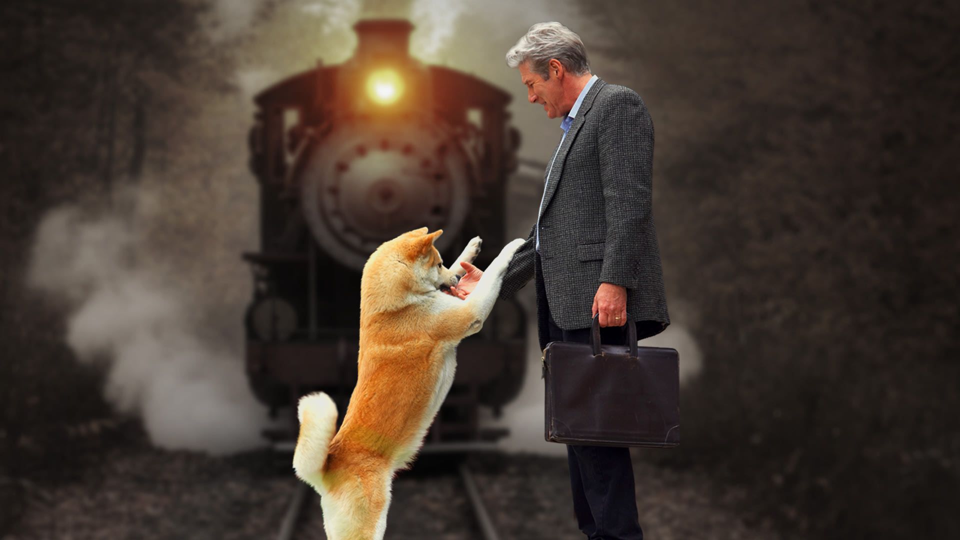 1920x1080 Hachi: A Dog's Tale