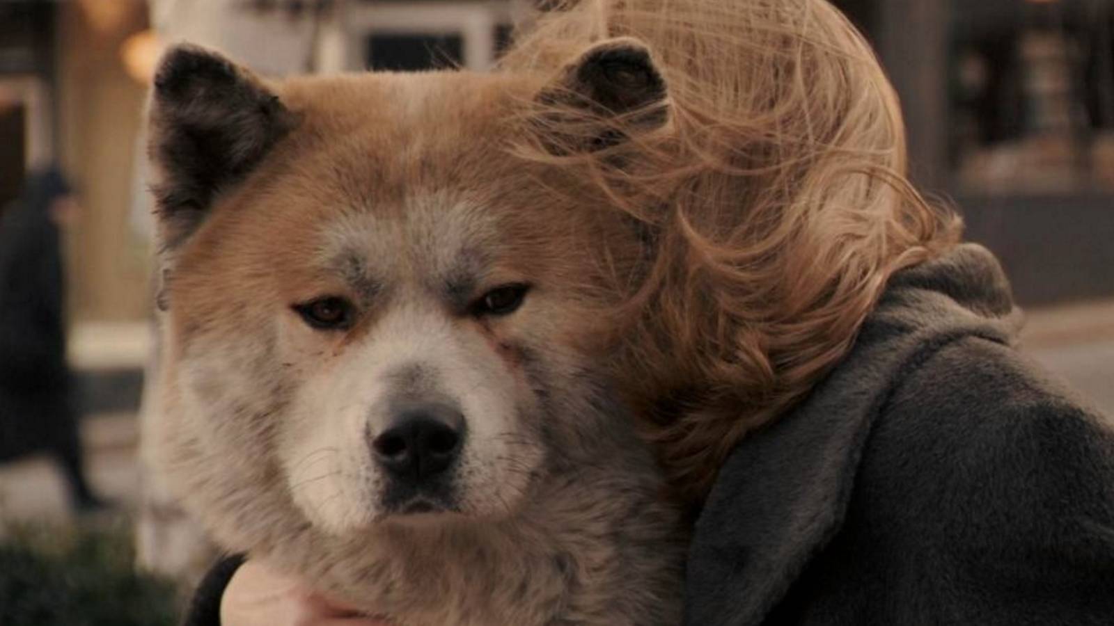 1600x900 Sad Movies That Will Make You Want to Hug Your Dog