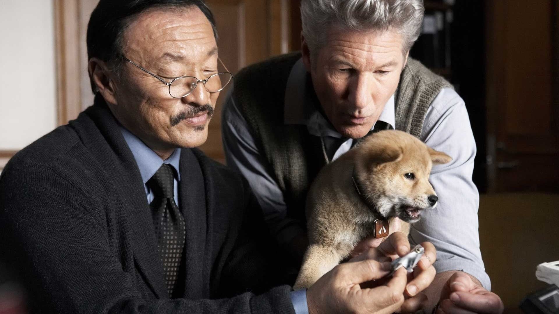 1920x1080 Hachi: A Dog's Tale. Where to watch streaming and online in Australia