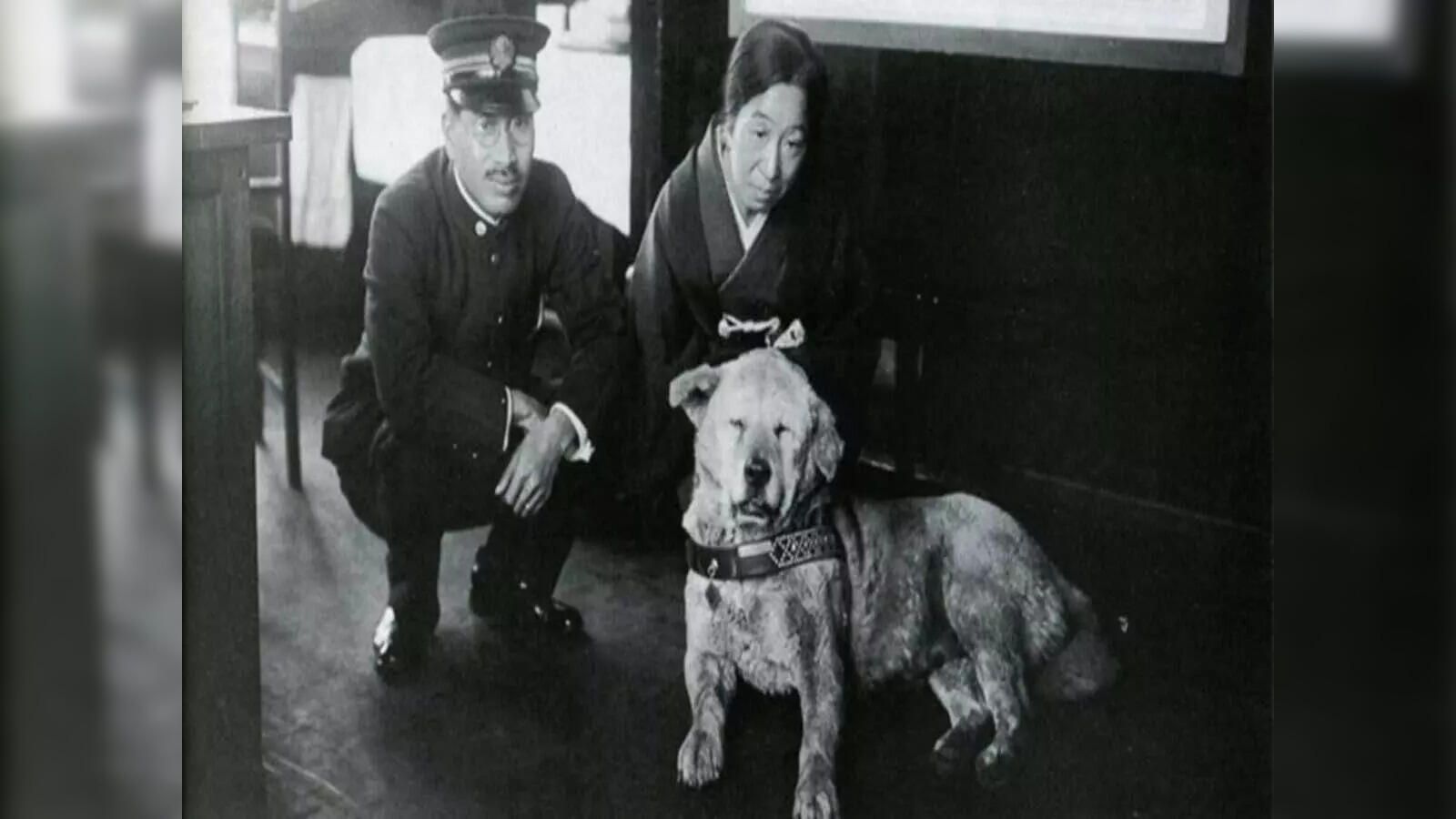 1600x900 Hachiko: World's most loyal dog turns 100: Know heartwarming story of Hachiko Economic Times