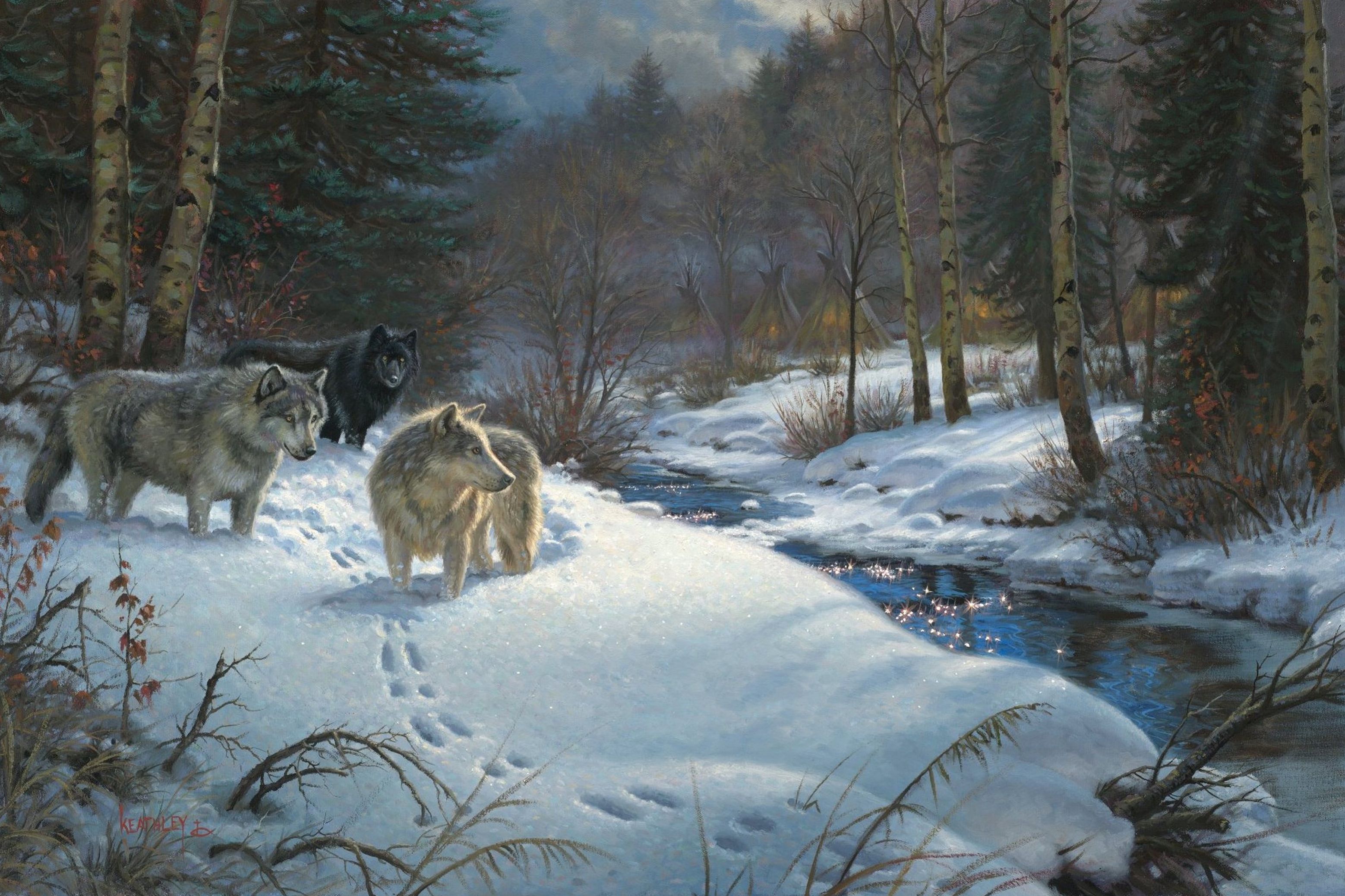 3116x2078 Wolf in Winter Beautiful Landscape Background​-Quality Free Image and Transparent PNG Clipart