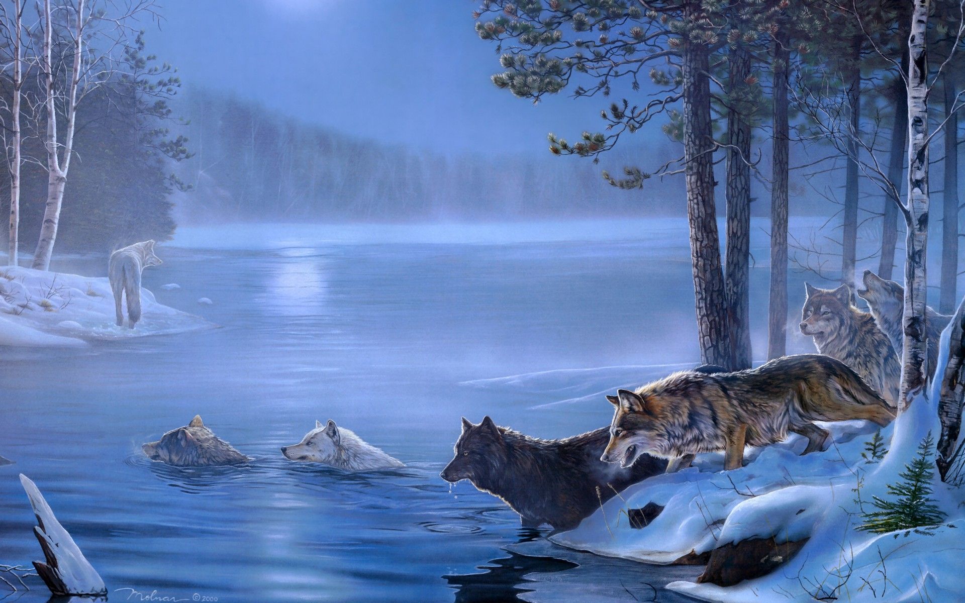 1920x1200 art, Paintings, Wolf, Wolves, Landscapes, Trees, Forest, Lakes, Rivers, Night, Moon, Light Wallpaper HD / Desktop and Mobile Background