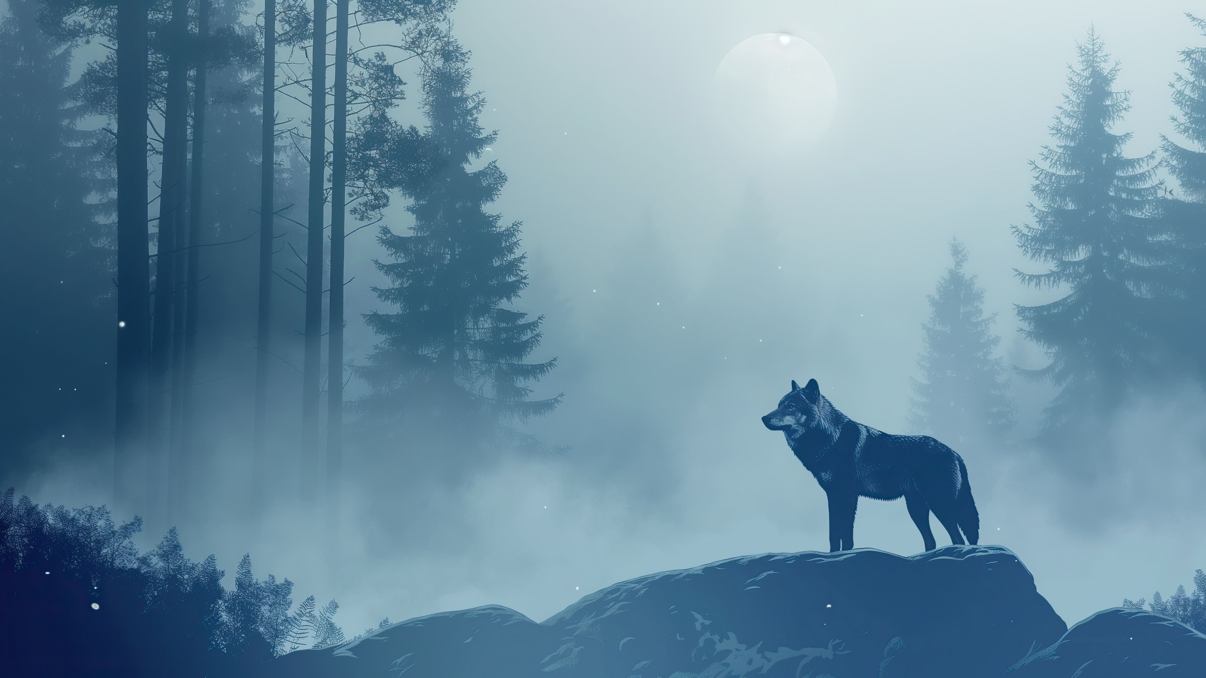 3840x2160 Wolf Wallpaper 4K animals, Forest scenery
