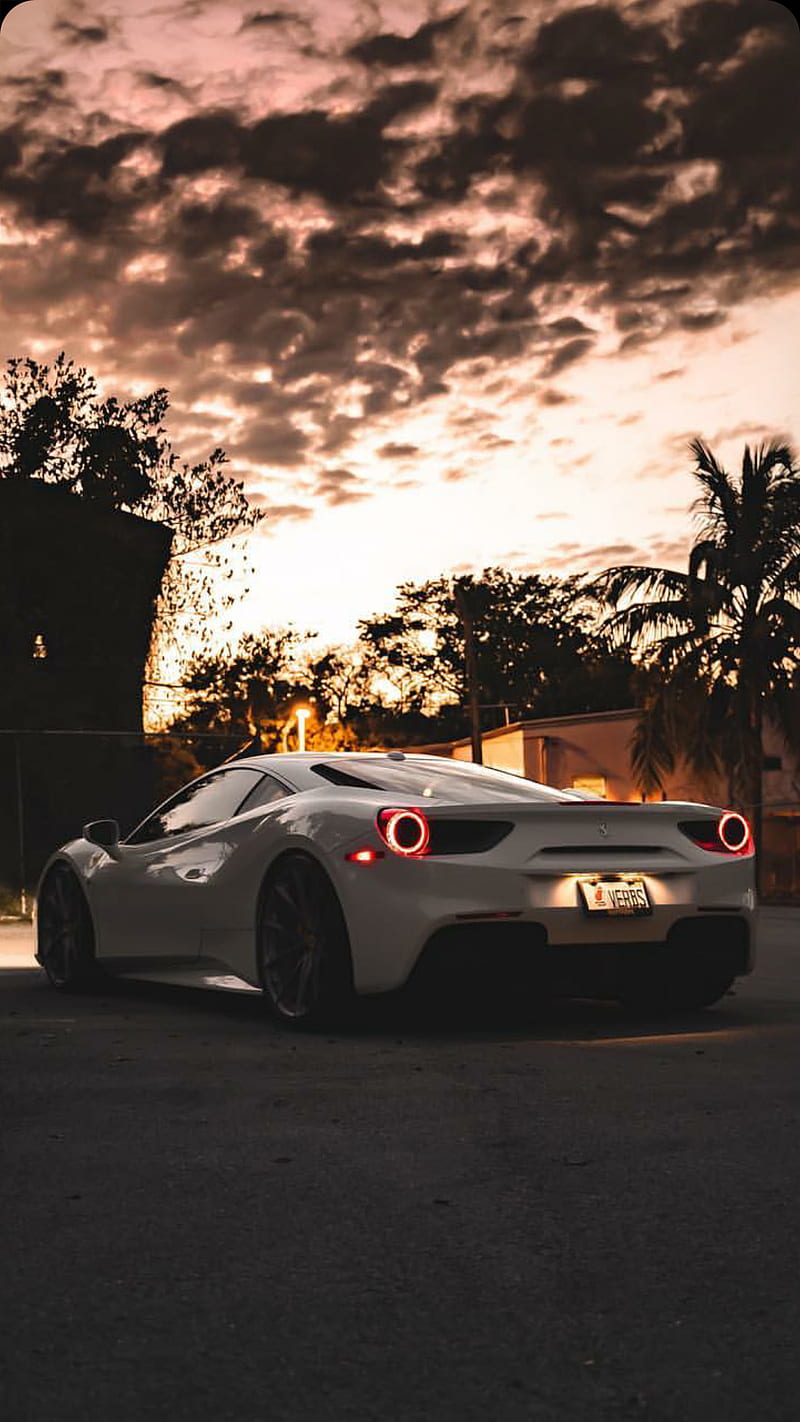 800x1422 Ferrari white, car, supercar, sports, america, new, night, HD phone wallpaper