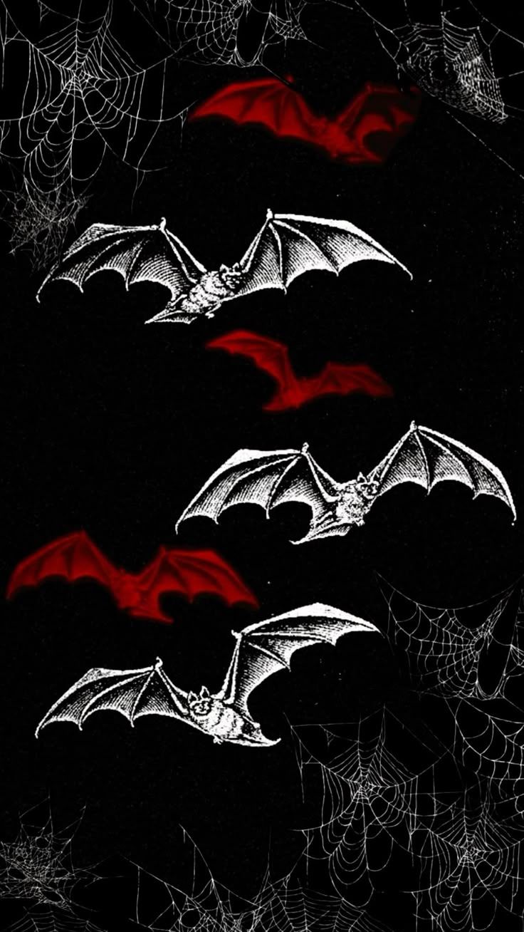736x1308 spiderweb bat background red and white