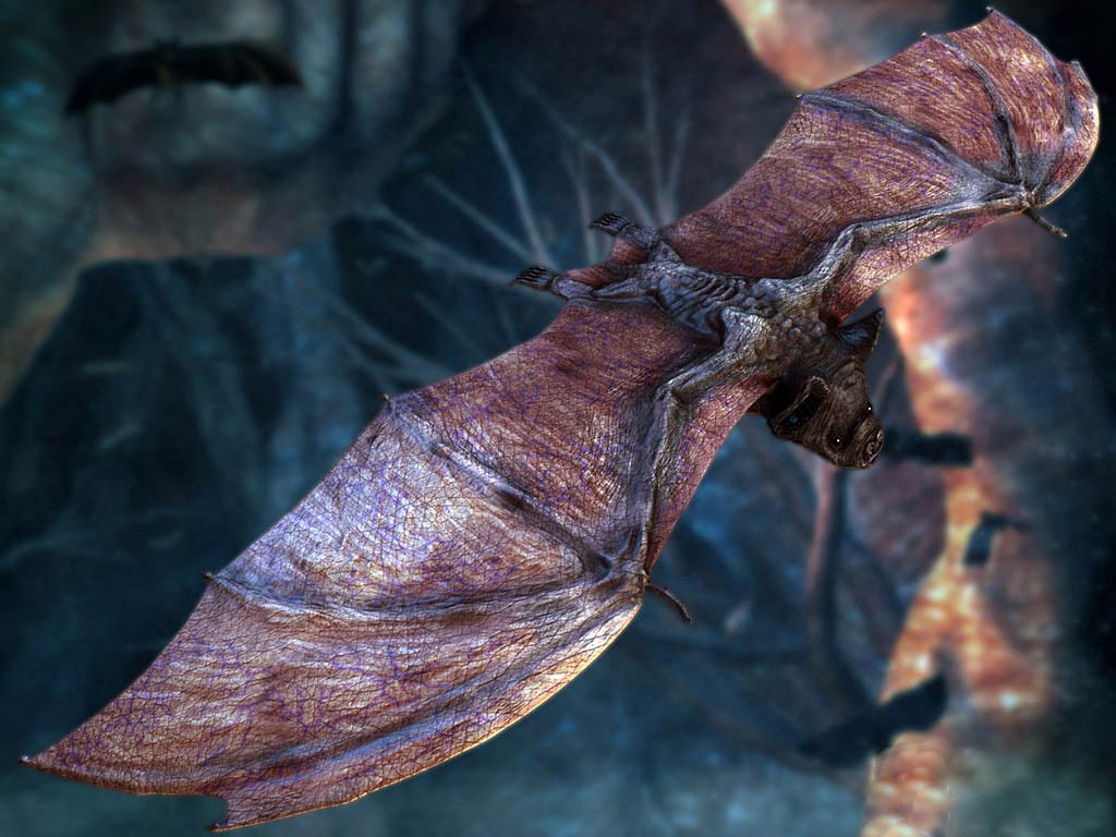 1024x768 Vampire Bat Wallpaper