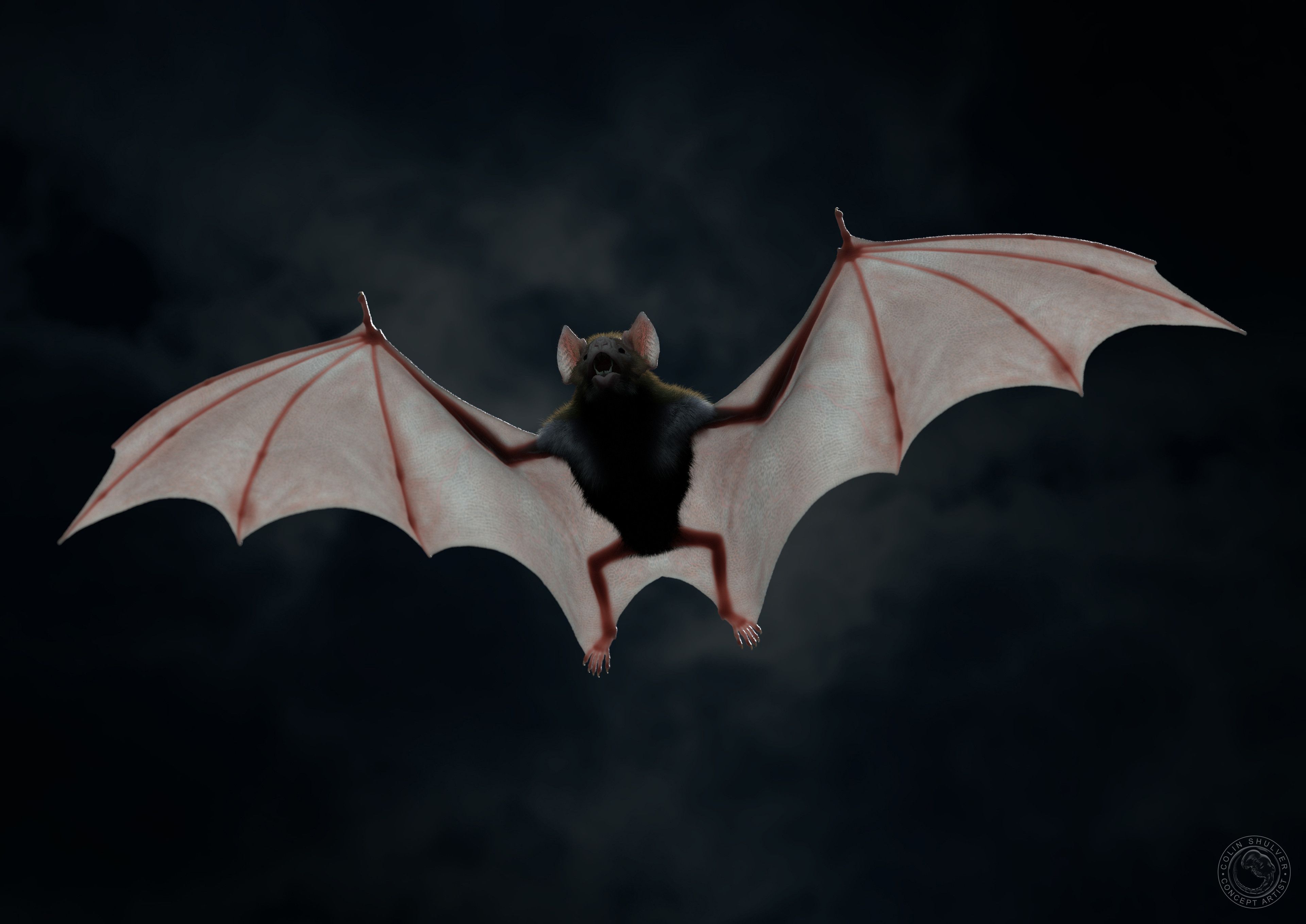 3840x2717 Vampire Bat