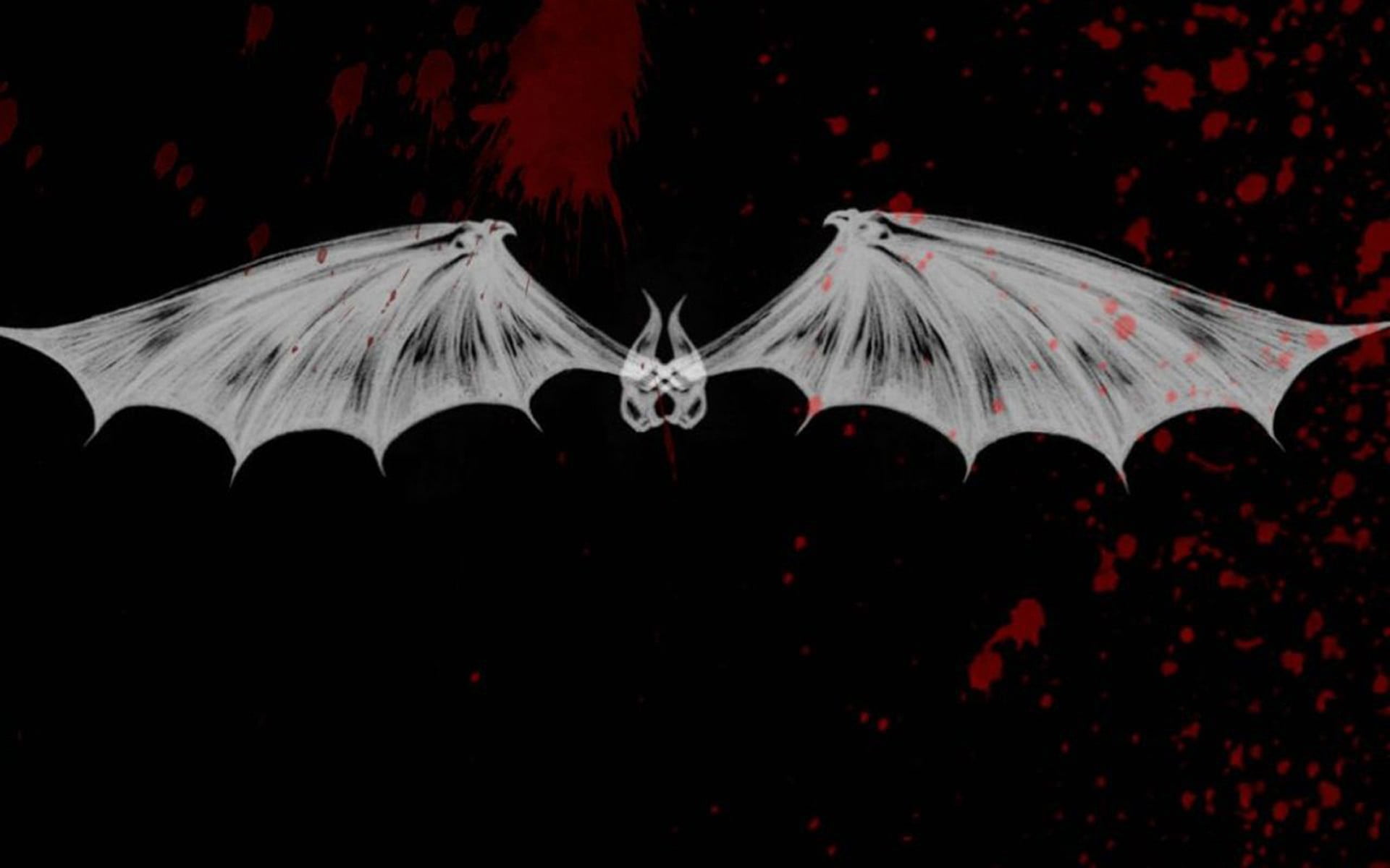 1920x1200 Bat illustration, horror HD wallpaper