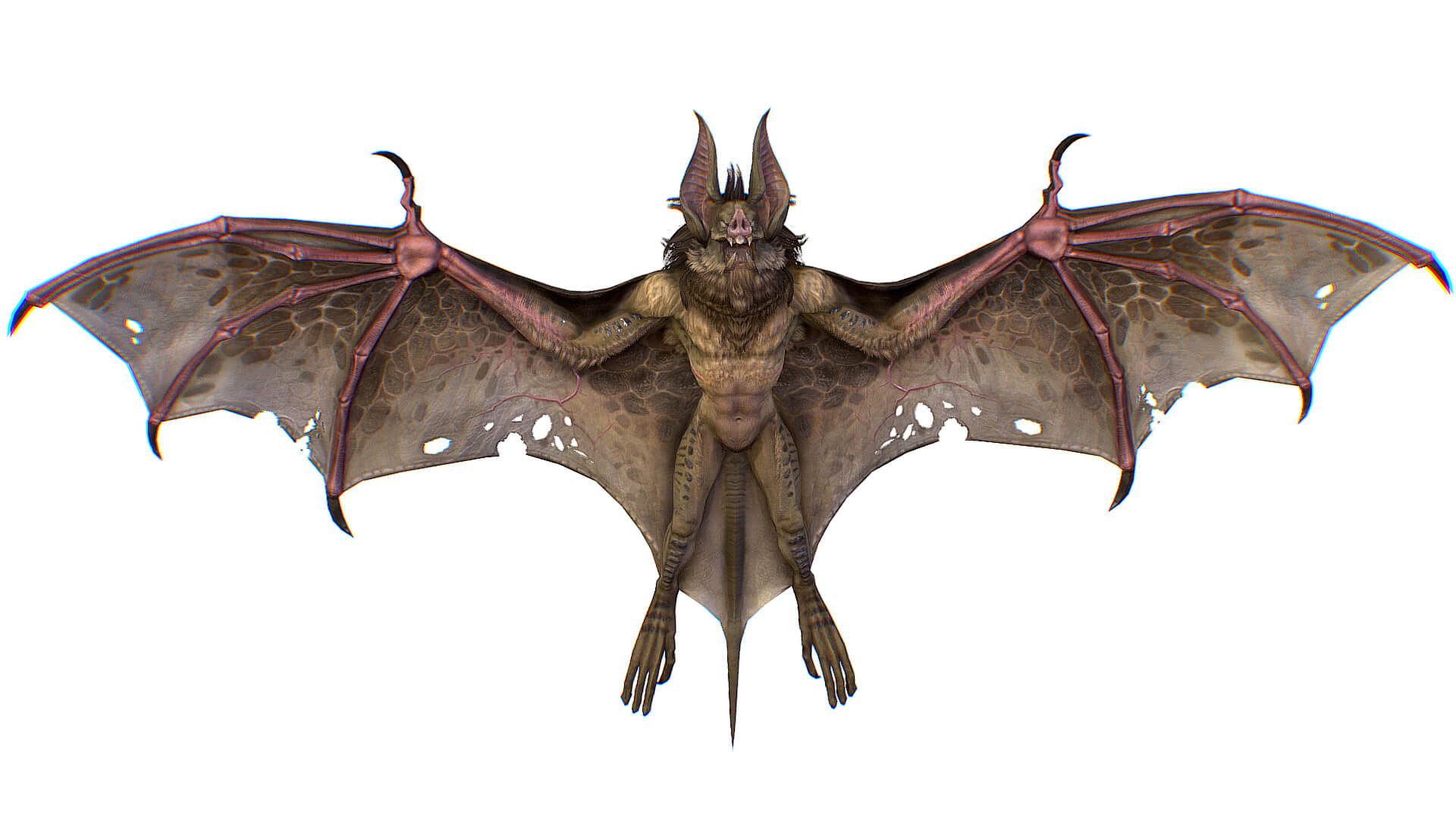 1920x1080 Gray Bat Vampire Mouse Monster