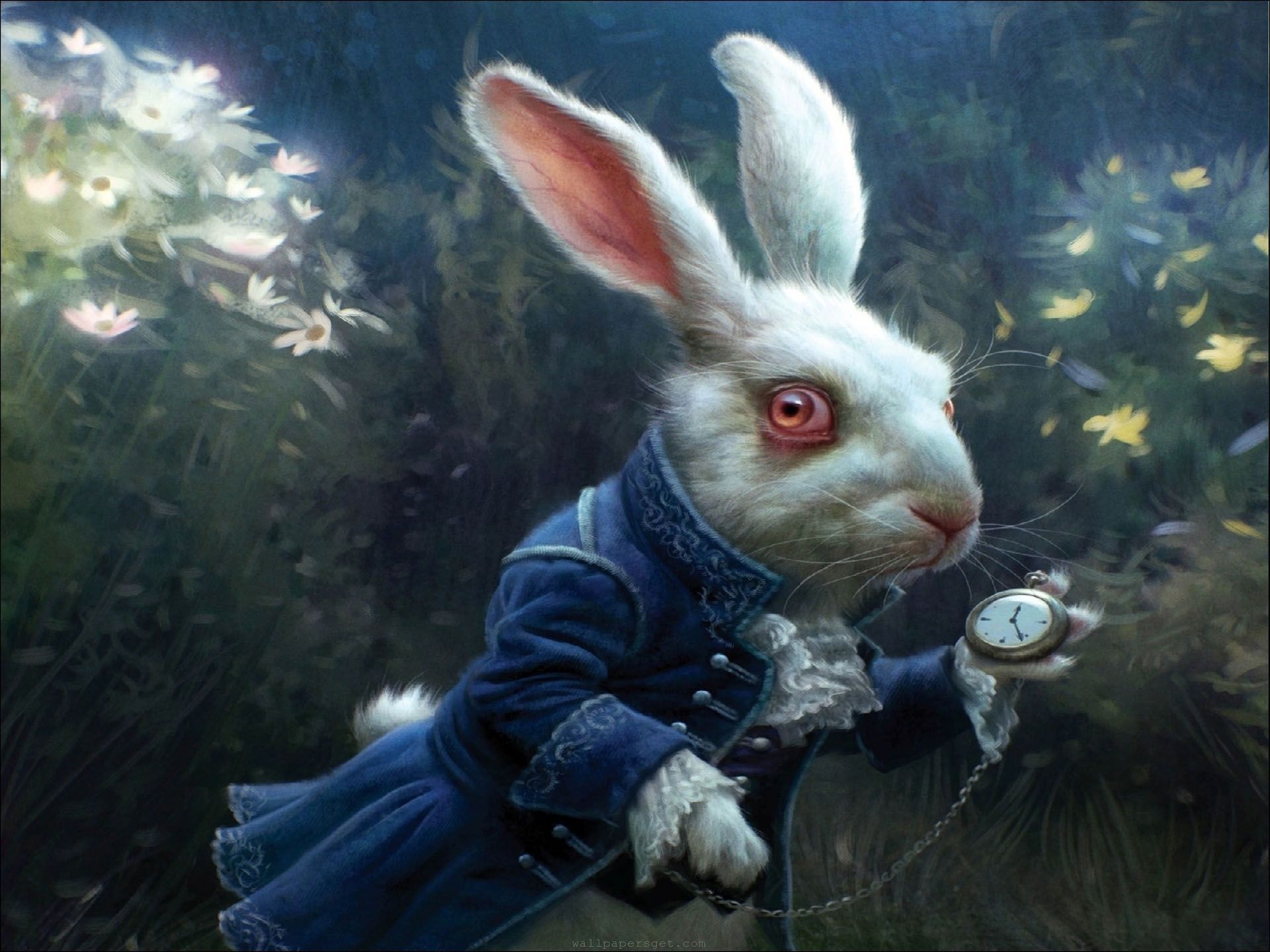 1920x1440 Follow the White Rabbit