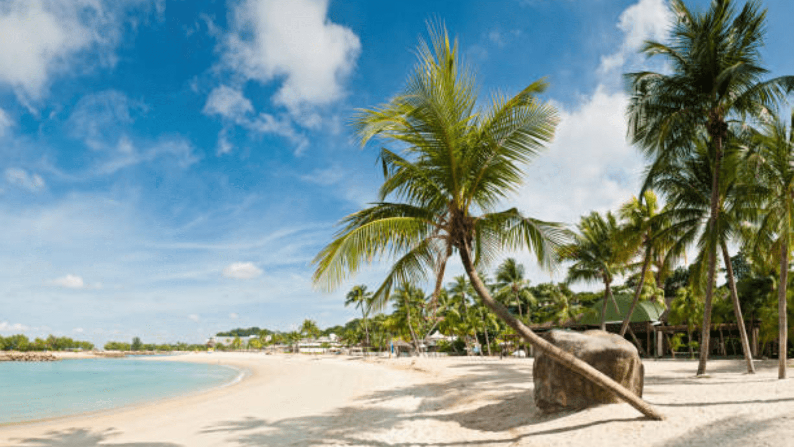 1600x900 Singapore: More Than Just Gardens: The Ultimate Family Guide to Sentosa Island