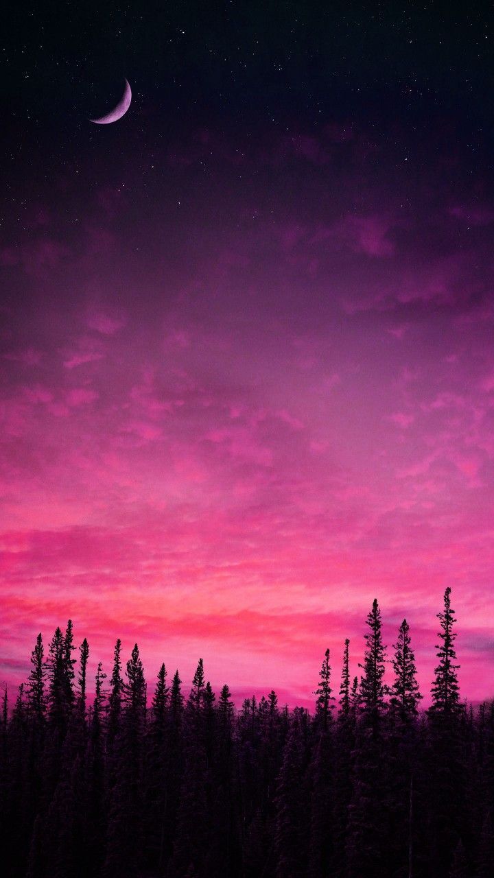720x1280 Pink and Purple Night Sky with Trees and Half Moon. Night sky wallpaper, Shadow photo, Beautiful wallpaper background