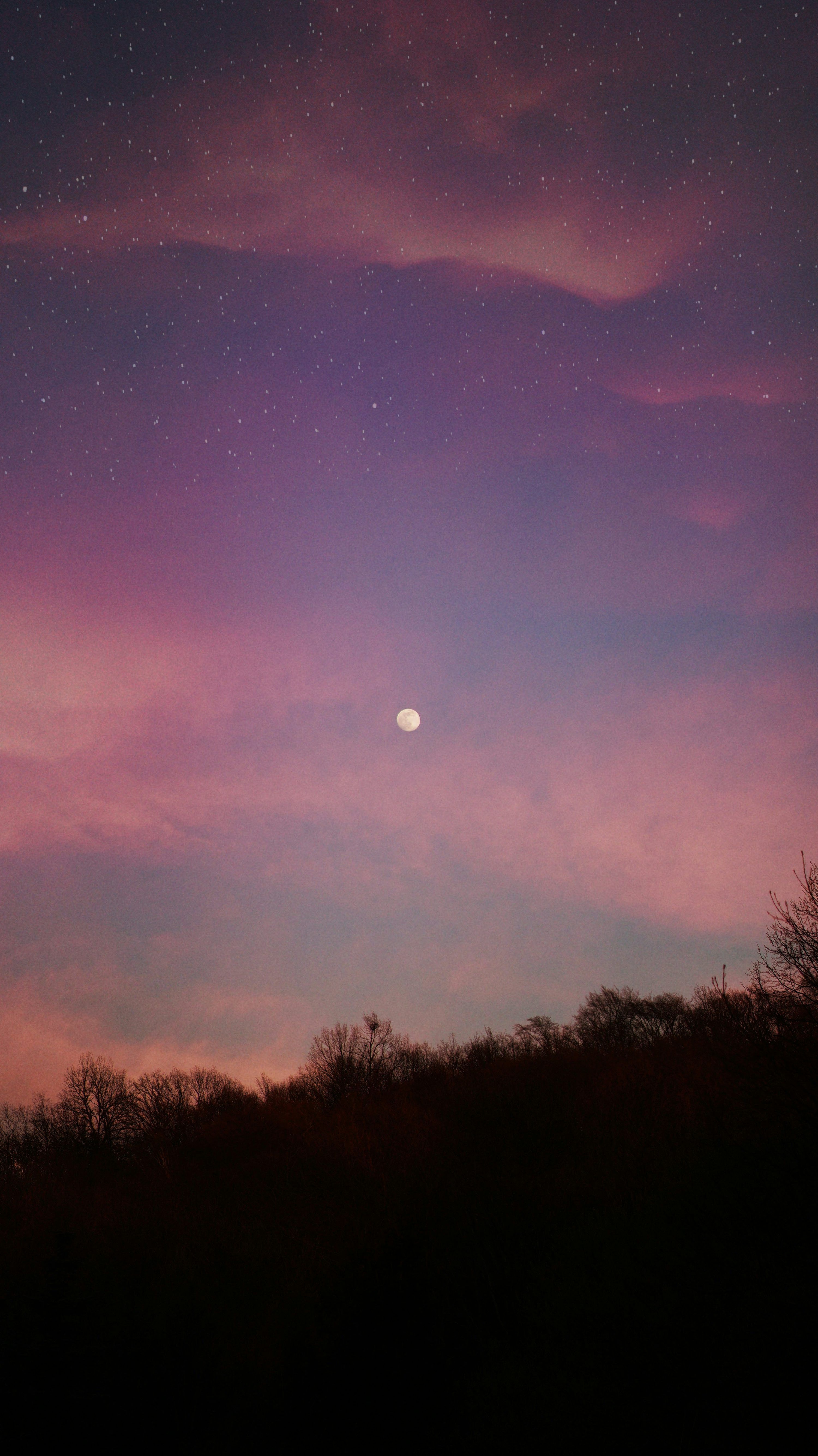3000x5340 Pink Sky At Night Picture. Download Free Image