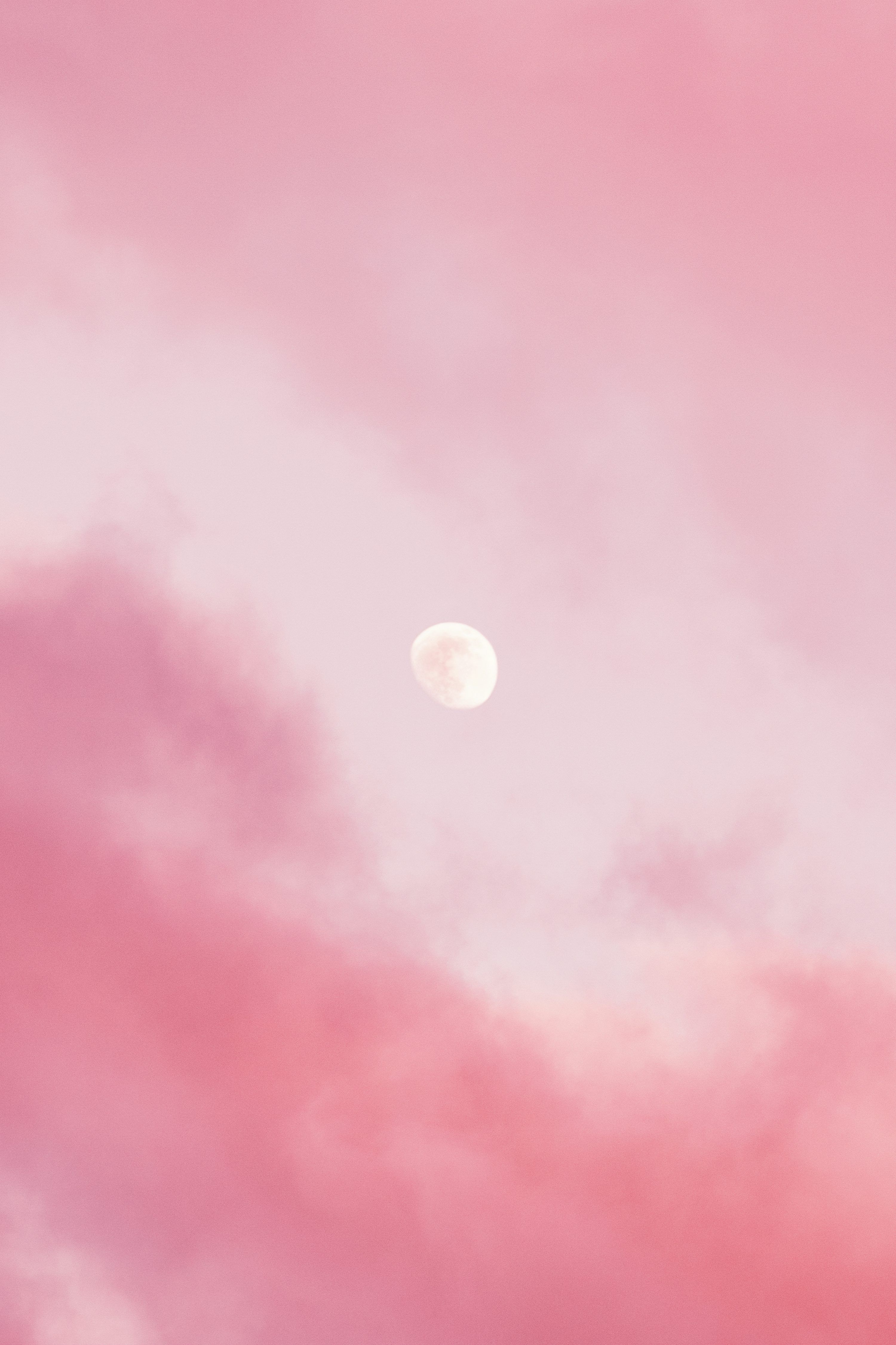 3000x4501 Pink Night Picture. Download Free Image