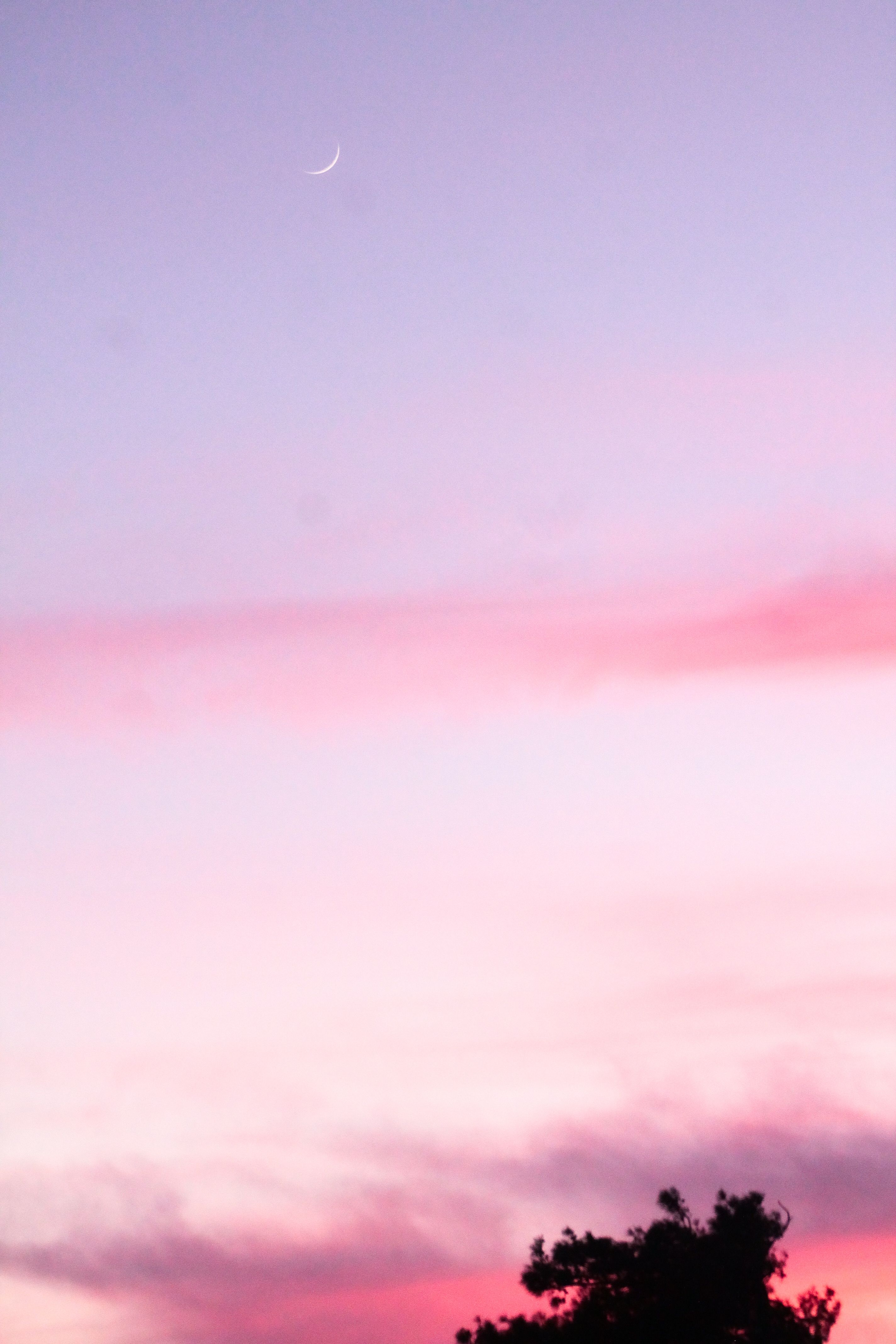 2848x4272 Pink Sky At Night Photo, Download The BEST Free Pink Sky At Night & HD Image