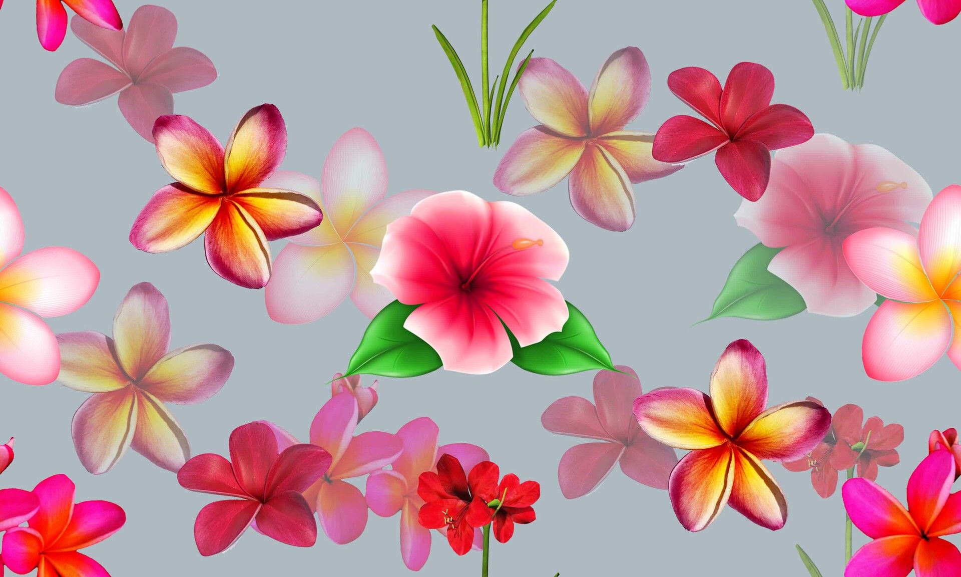 1920x1152 Cute pattern in small flower. Small colorful flowers